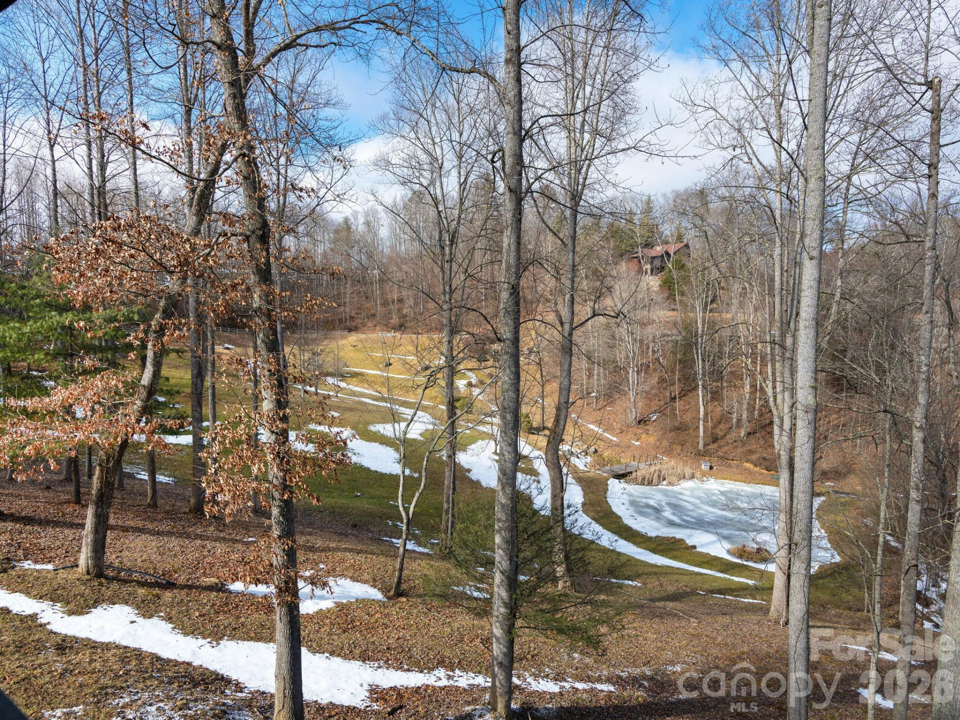 166 Harleys Cove - Photo 35