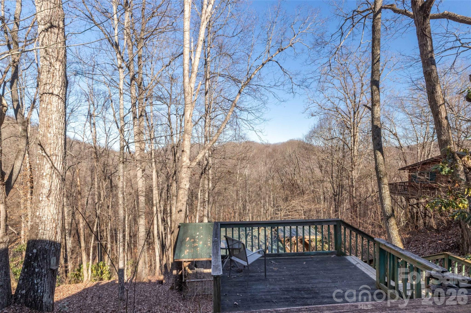 244 Grindstone Knob Road - Photo 3