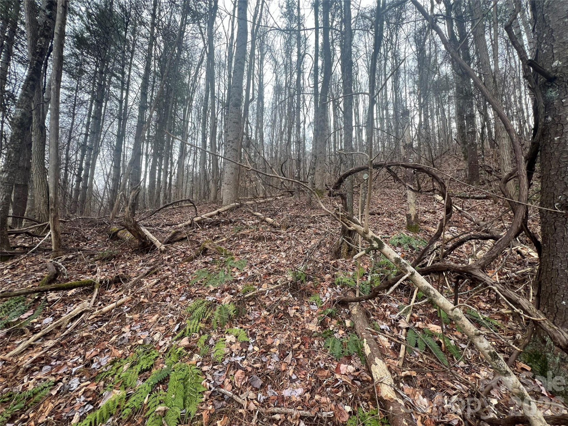 125 Lasso Lane #304 - Photo 11