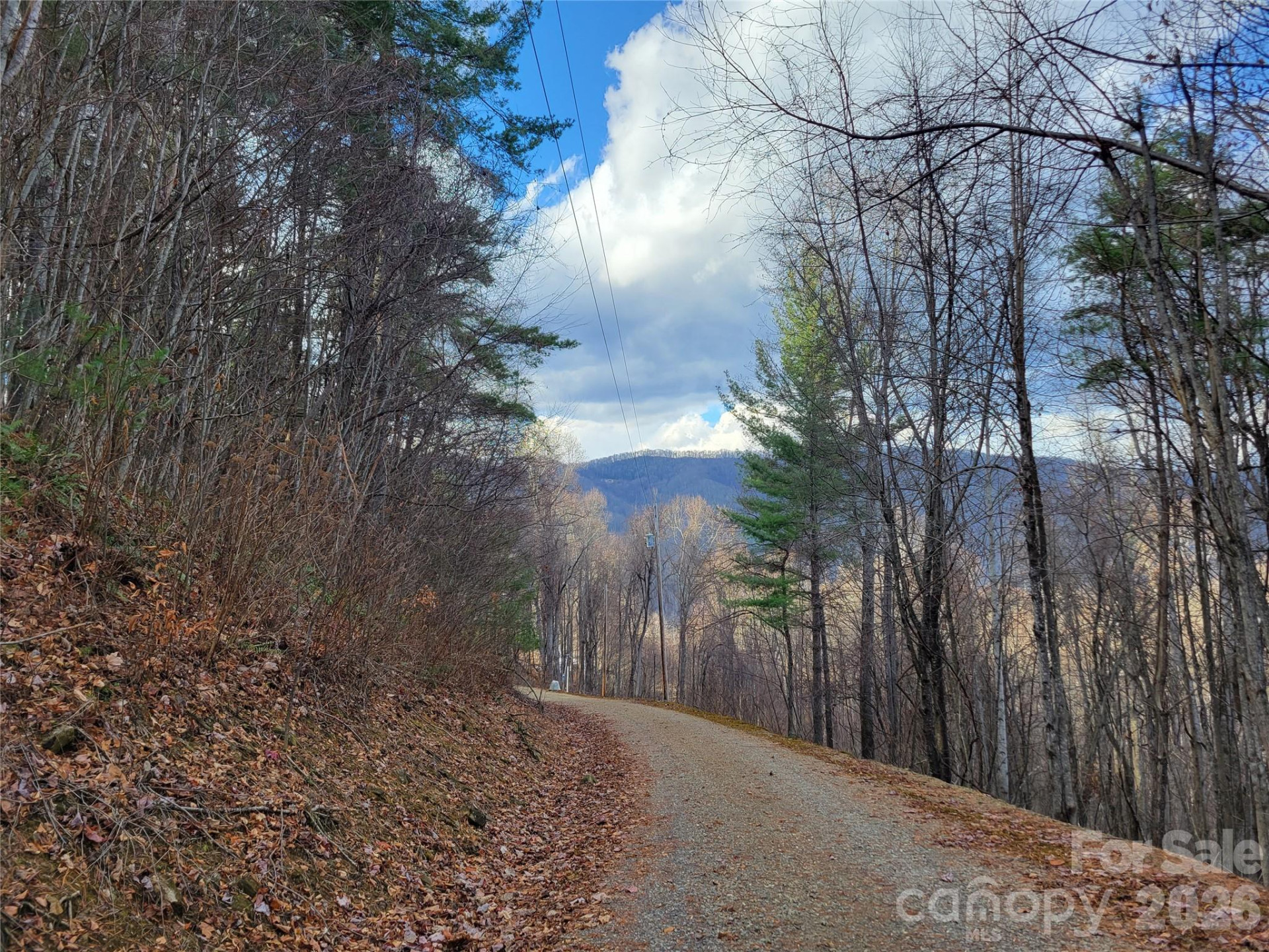 125 Lasso Lane #304 - Photo 13