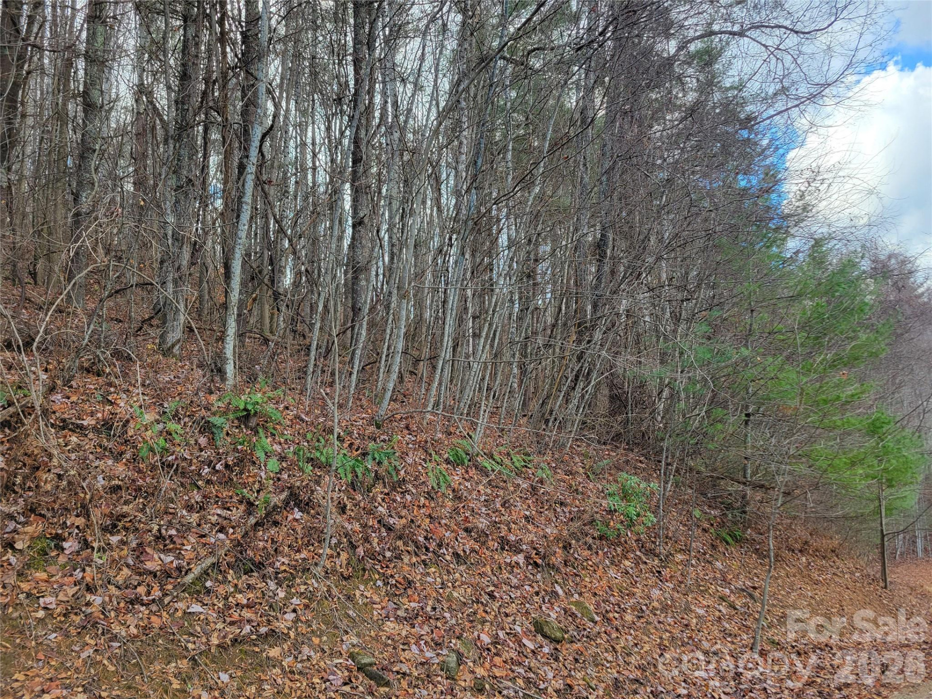 125 Lasso Lane #304 - Photo 14