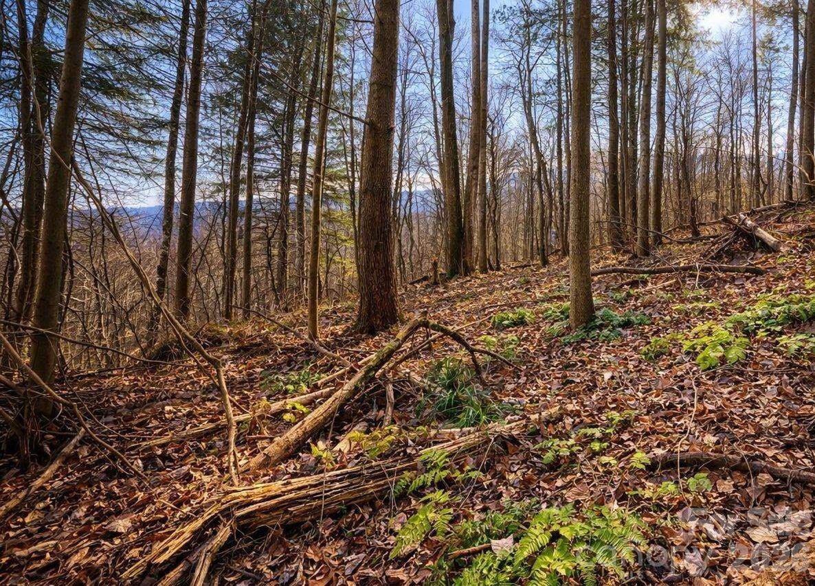 125 Lasso Lane #304 - Photo 15