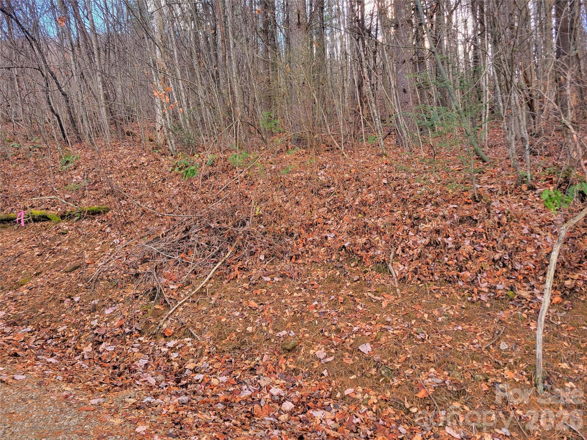 125 Lasso Lane #304 - Photo 19