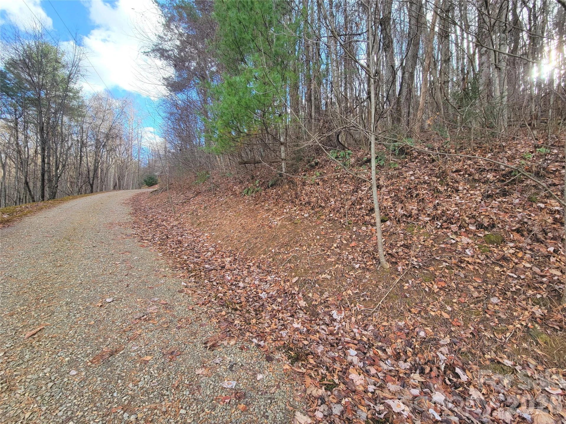 125 Lasso Lane #304 - Photo 3
