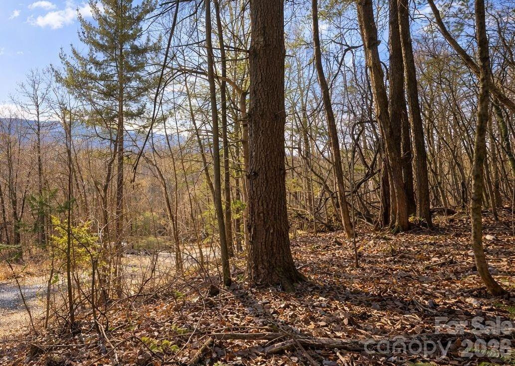 125 Lasso Lane #304 - Photo 5