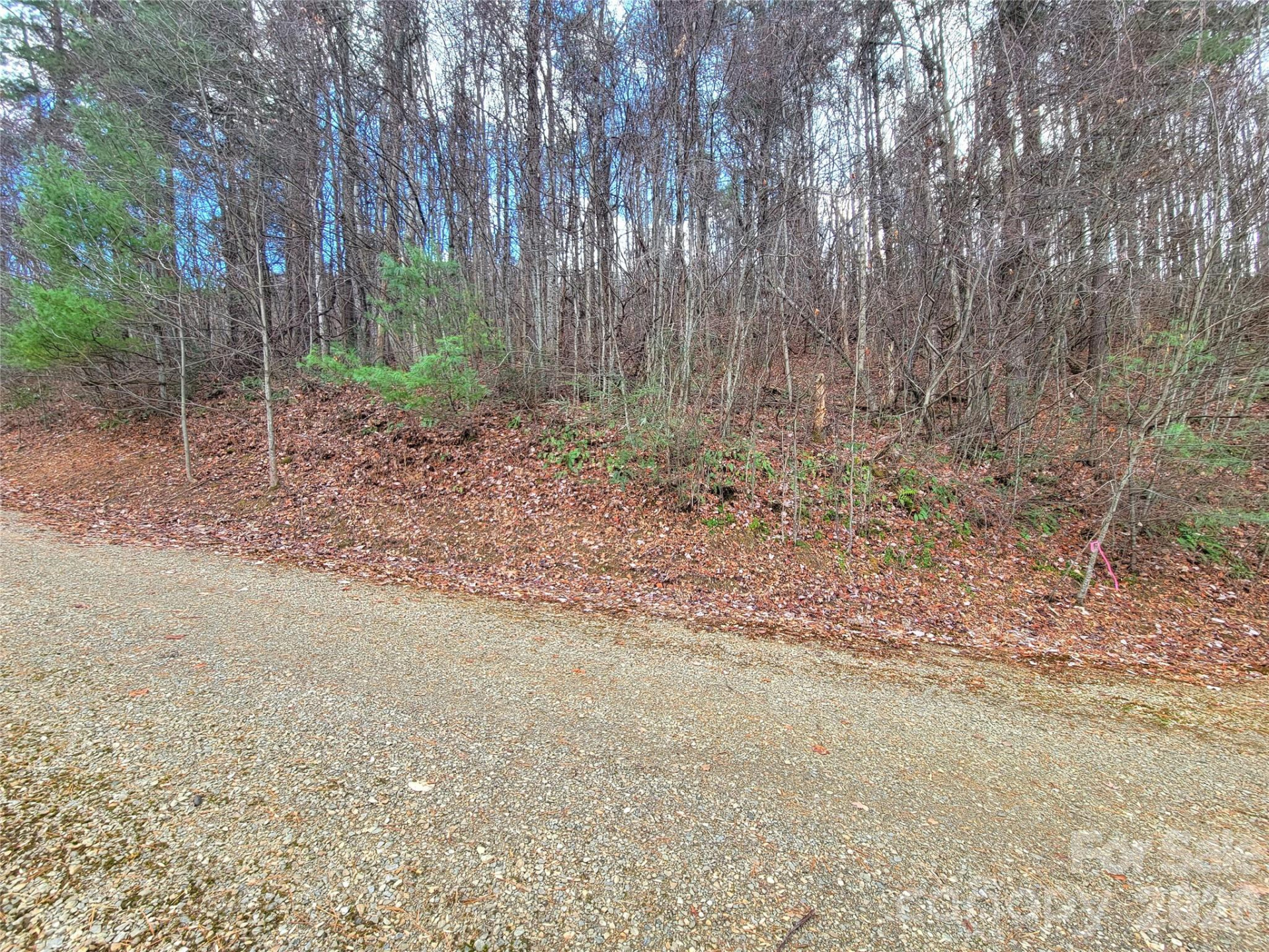 125 Lasso Lane #304 - Photo 7