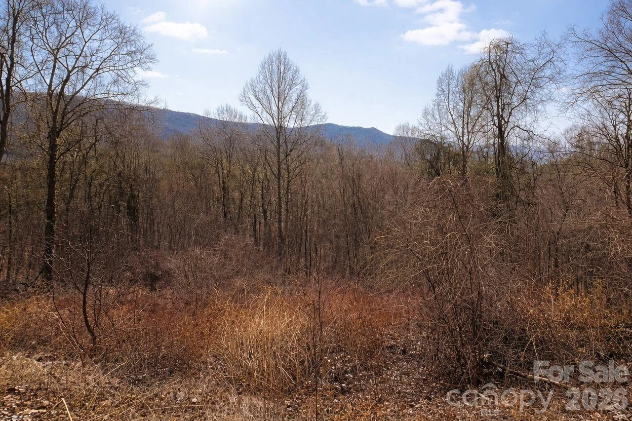 125 Lasso Lane #304 - Photo 10