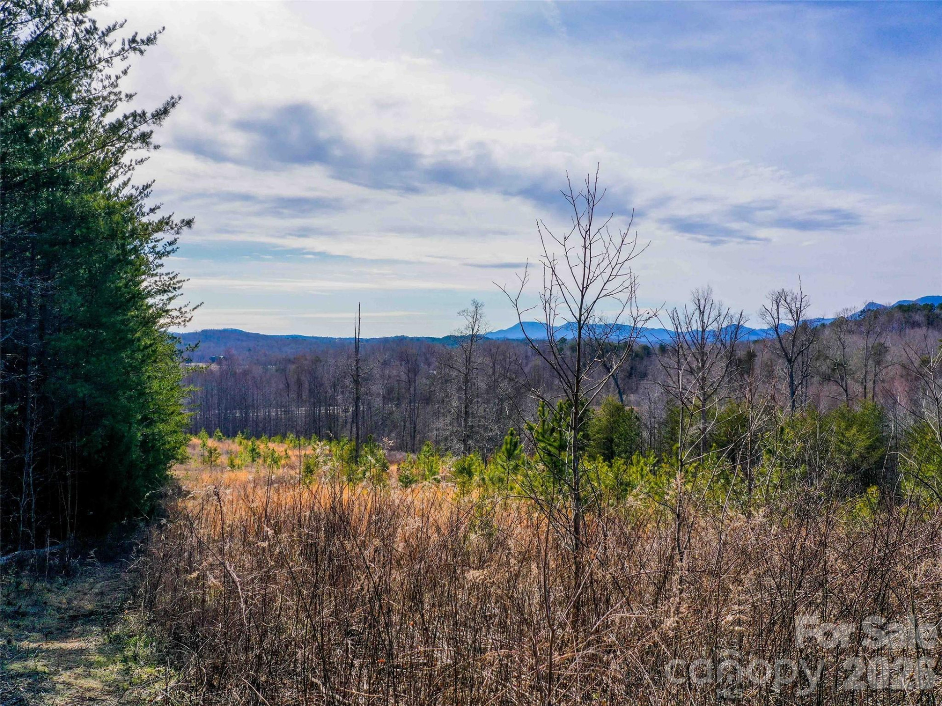 00 Pea Ridge Road