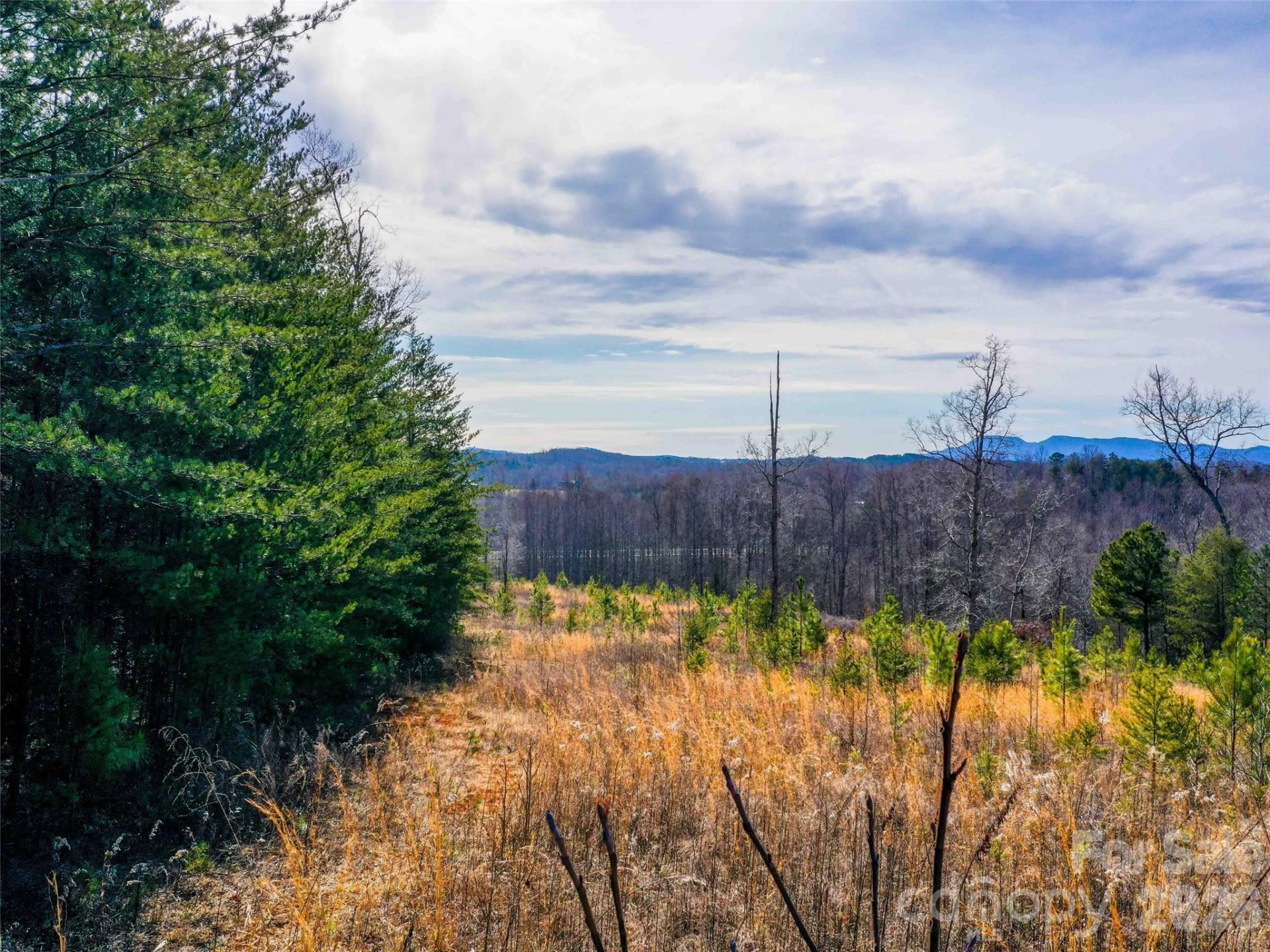00 Pea Ridge Road - Photo 2