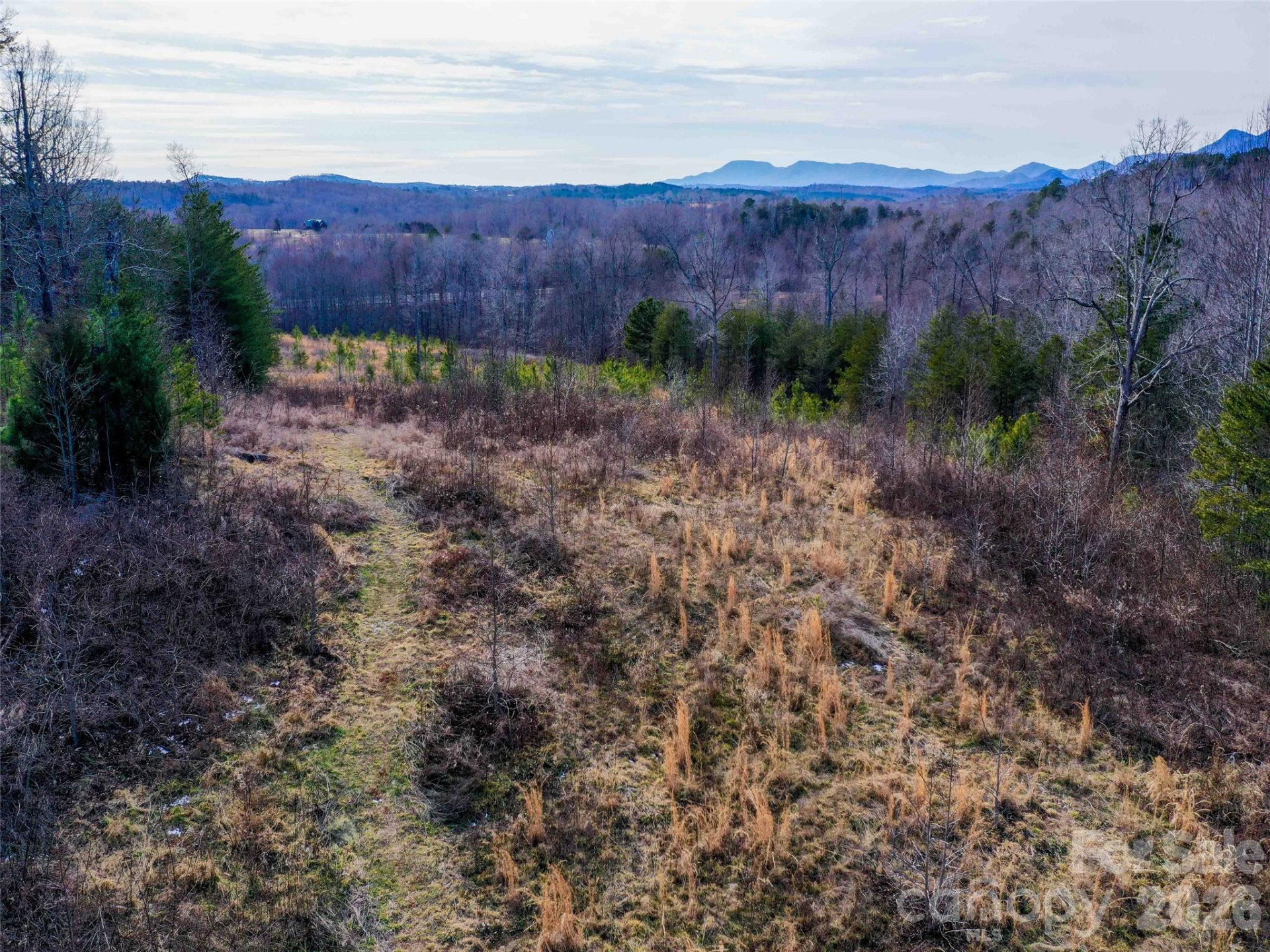 00 Pea Ridge Road - Photo 11