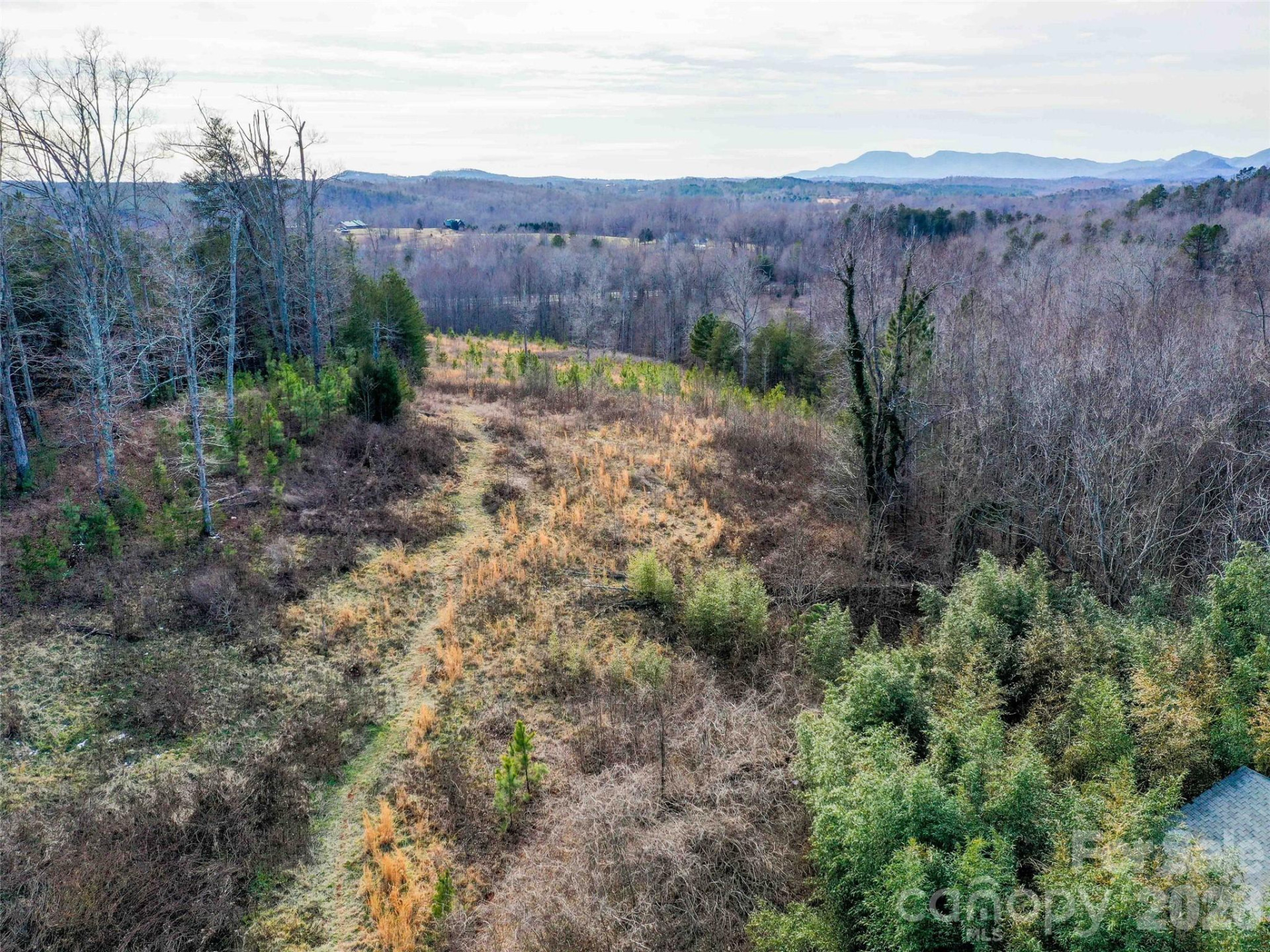 00 Pea Ridge Road - Photo 12