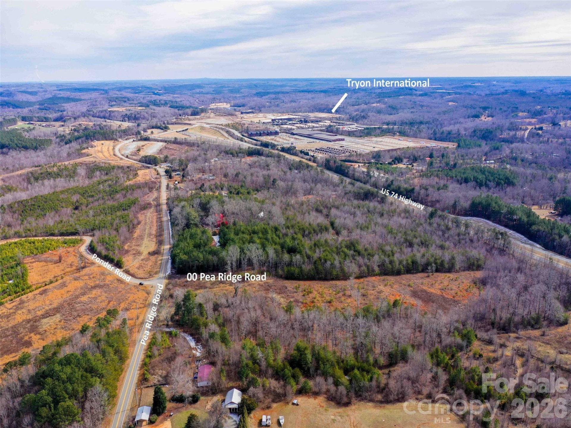00 Pea Ridge Road - Photo 15