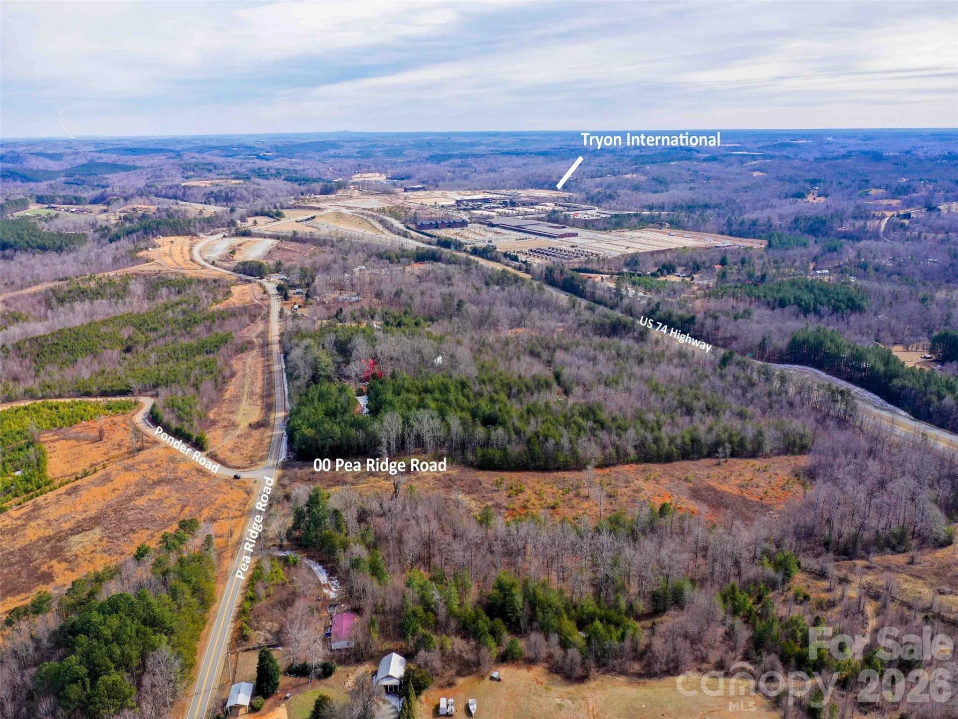 00 Pea Ridge Road - Photo 15