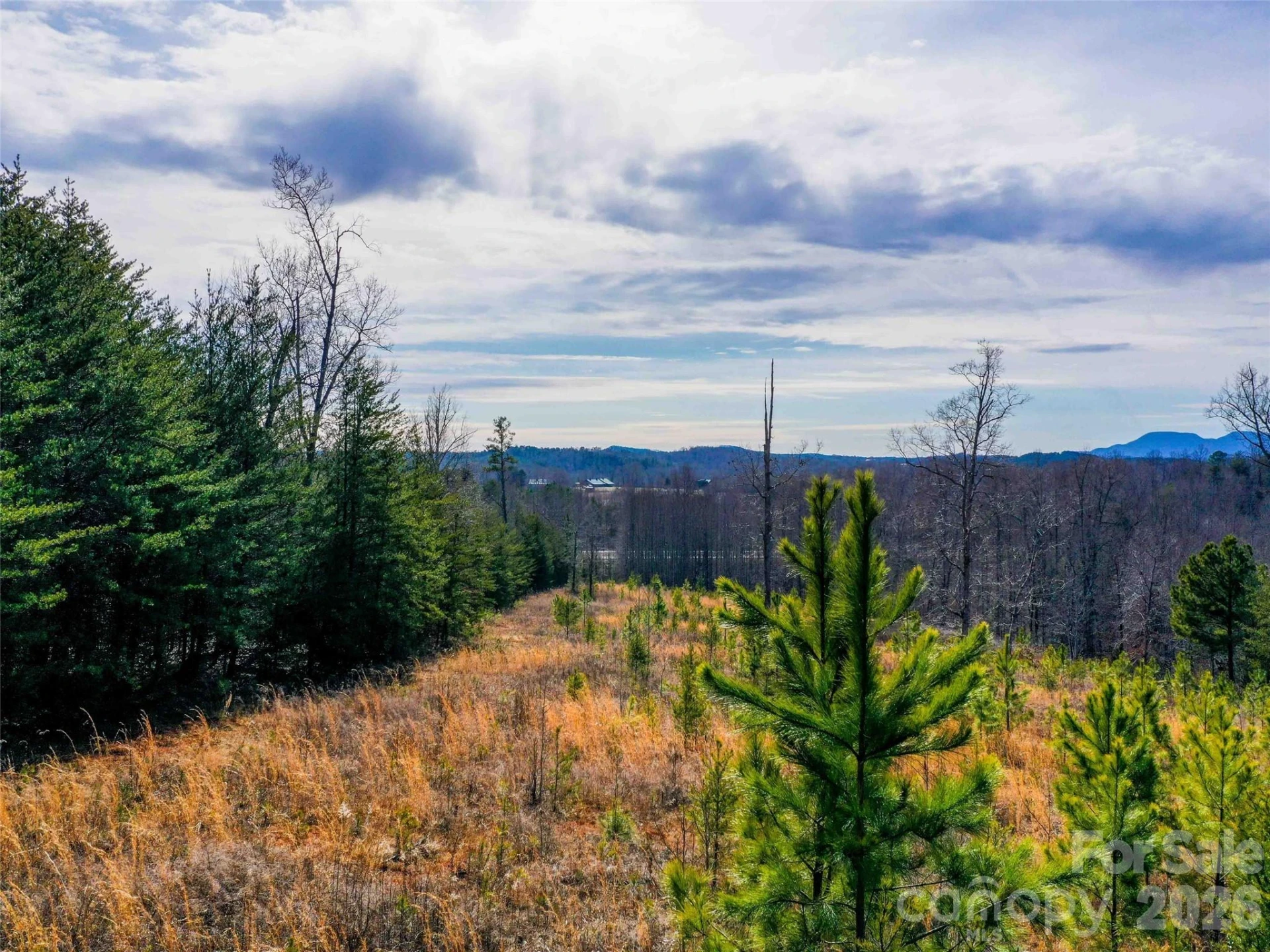 00 Pea Ridge Road - Photo 3