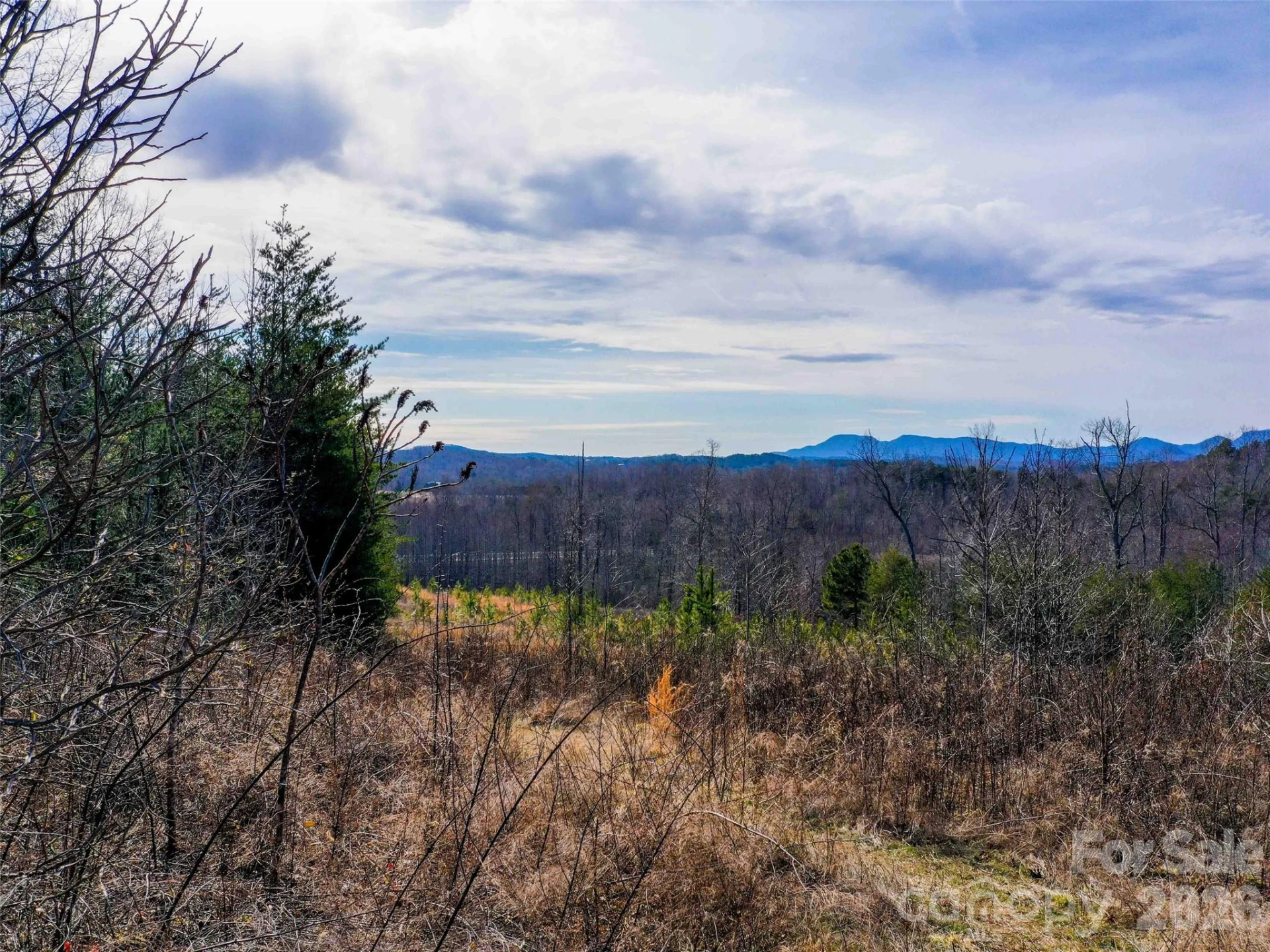 00 Pea Ridge Road - Photo 4