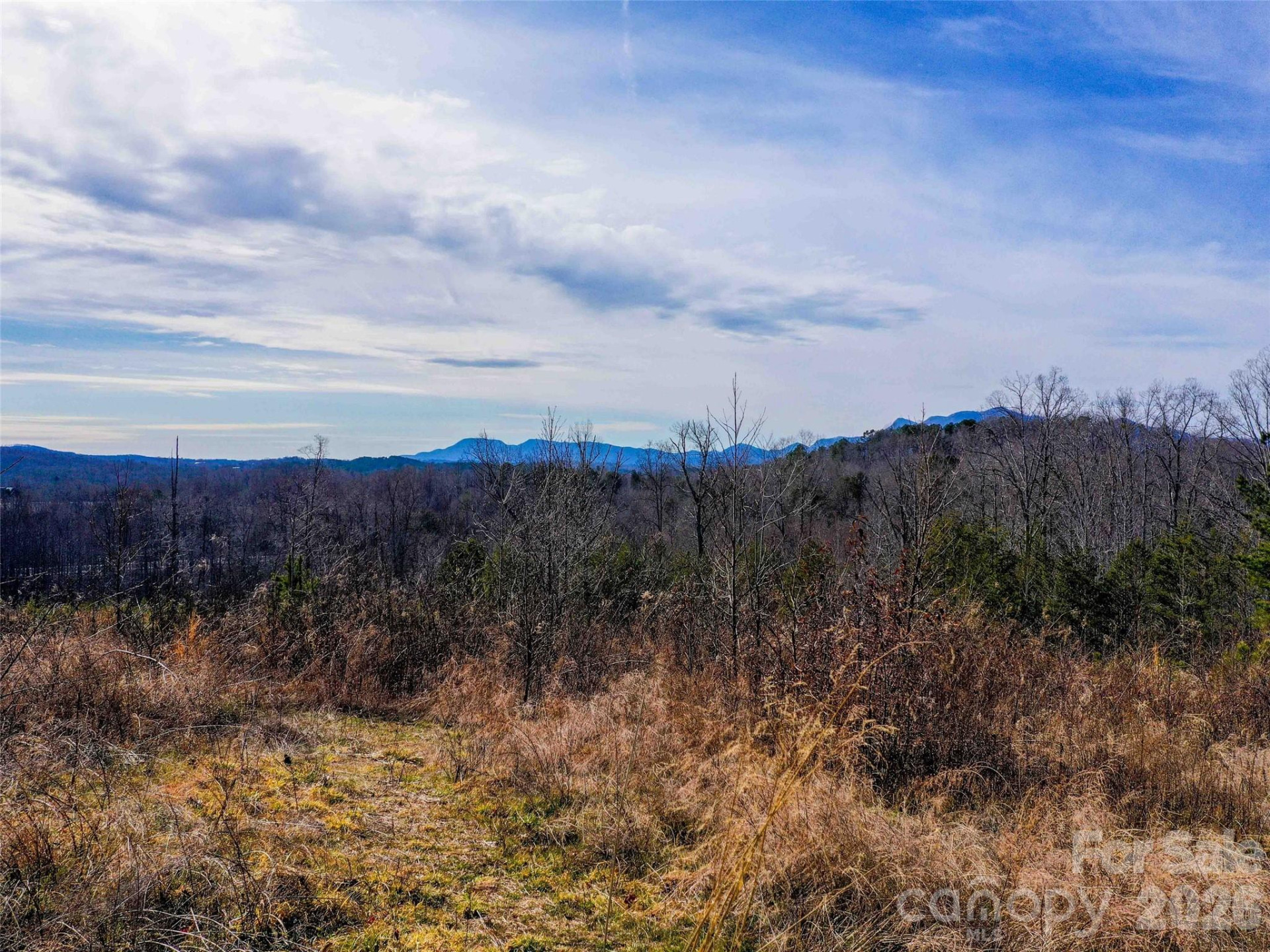 00 Pea Ridge Road - Photo 5