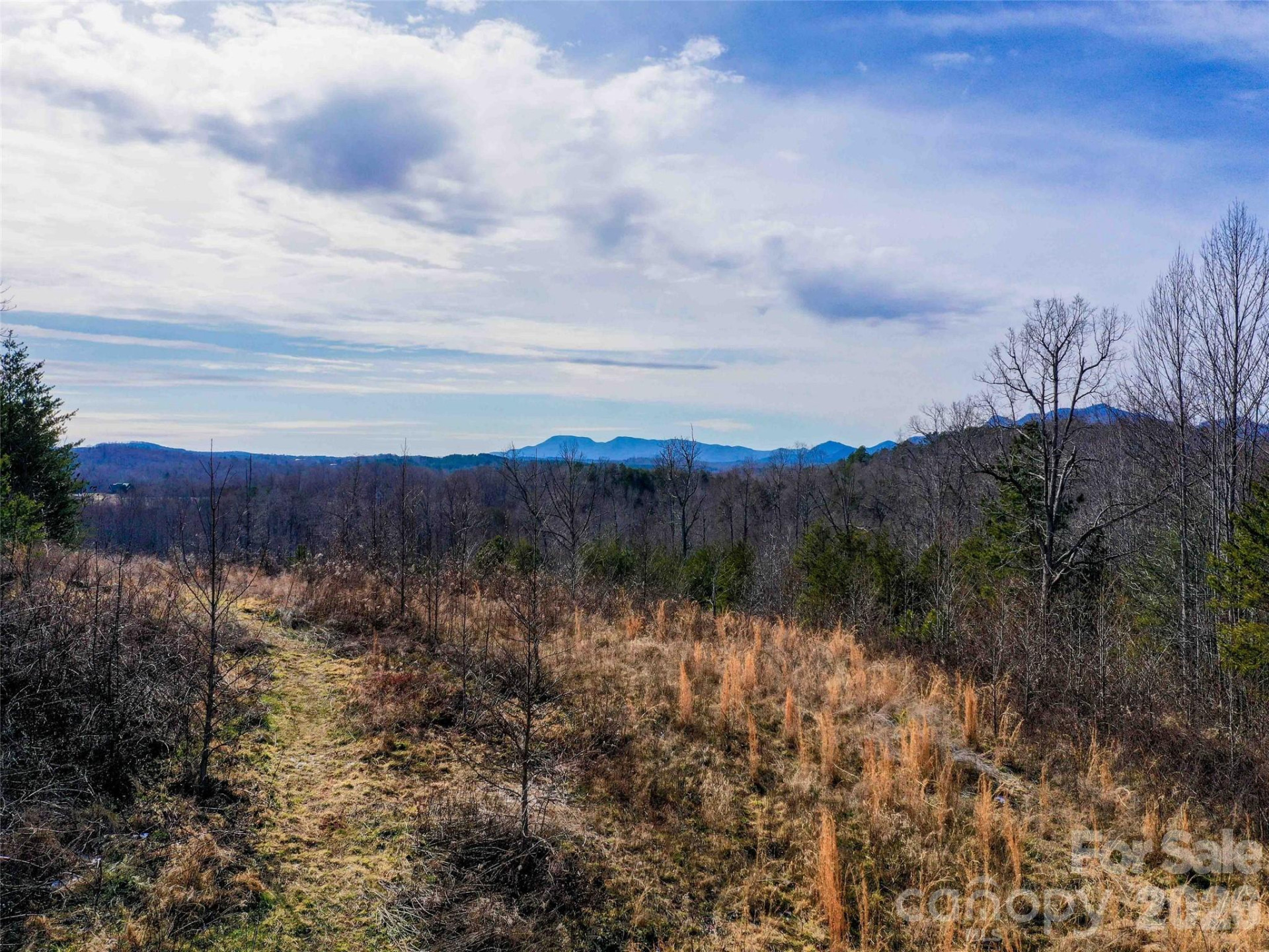 00 Pea Ridge Road - Photo 6