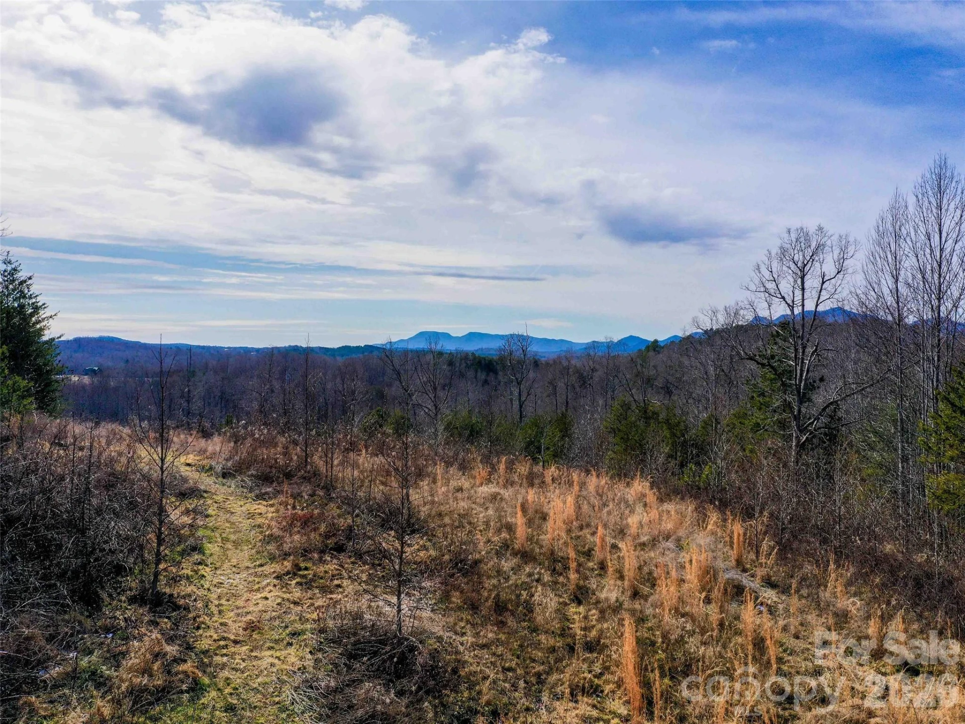 00 Pea Ridge Road - Photo 6