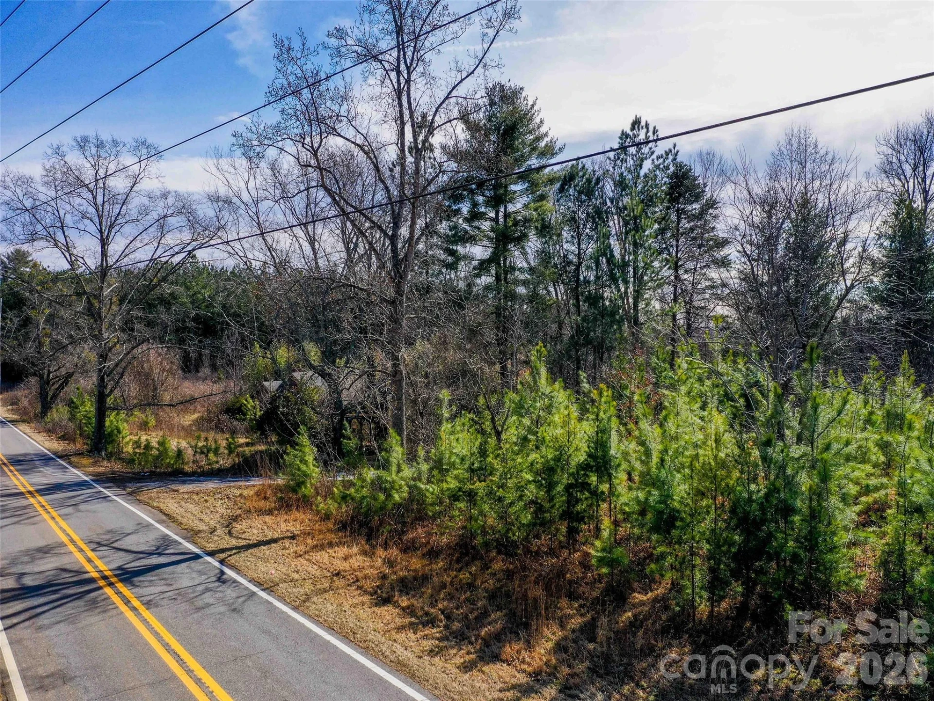 00 Pea Ridge Road - Photo 7