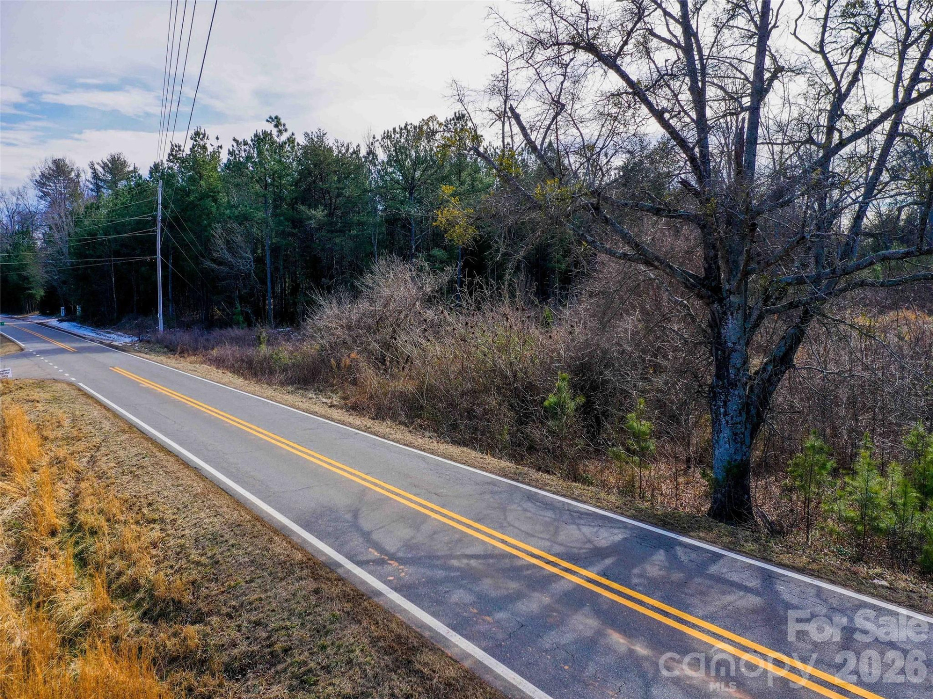 00 Pea Ridge Road - Photo 8