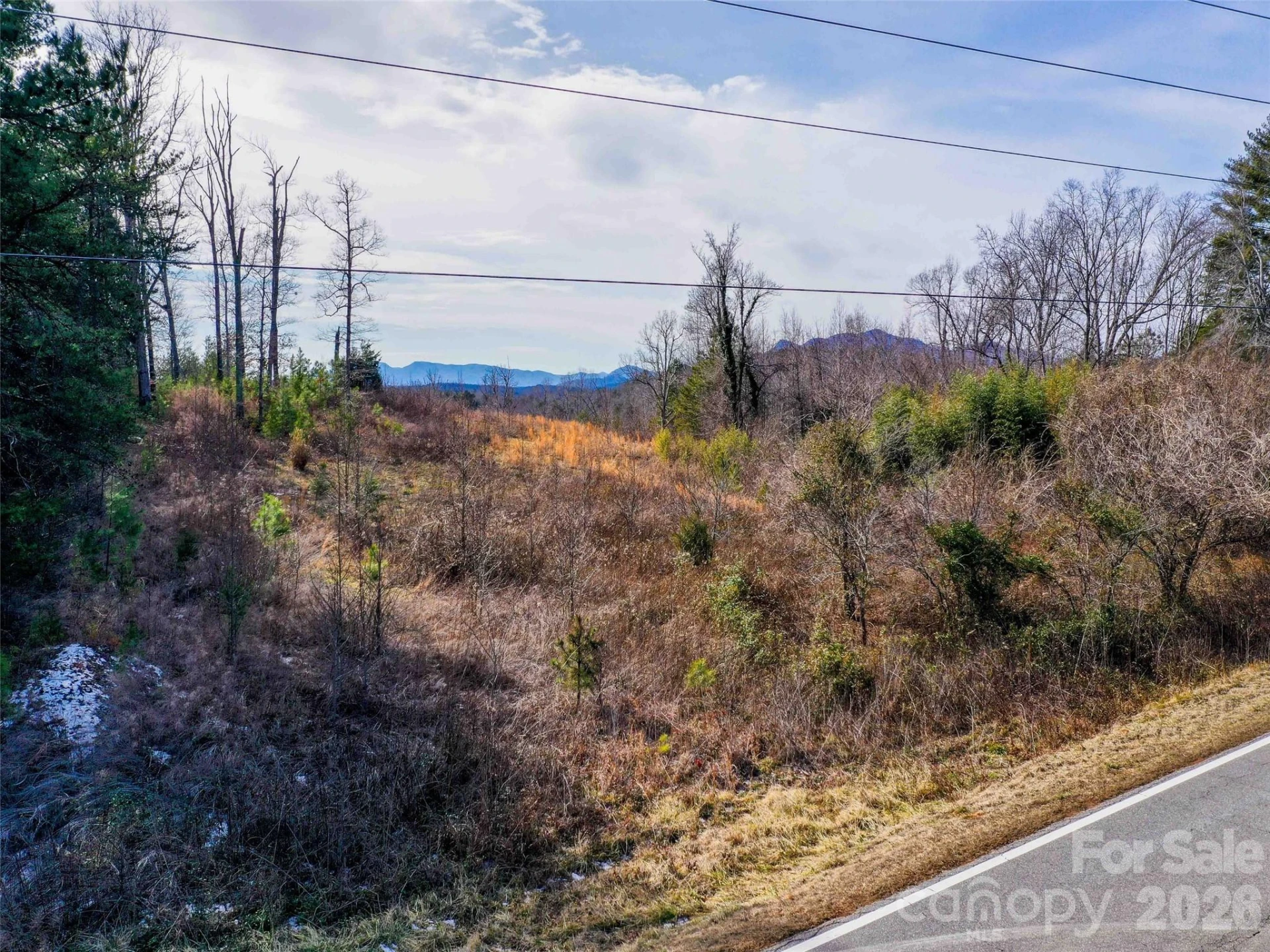 00 Pea Ridge Road - Photo 9