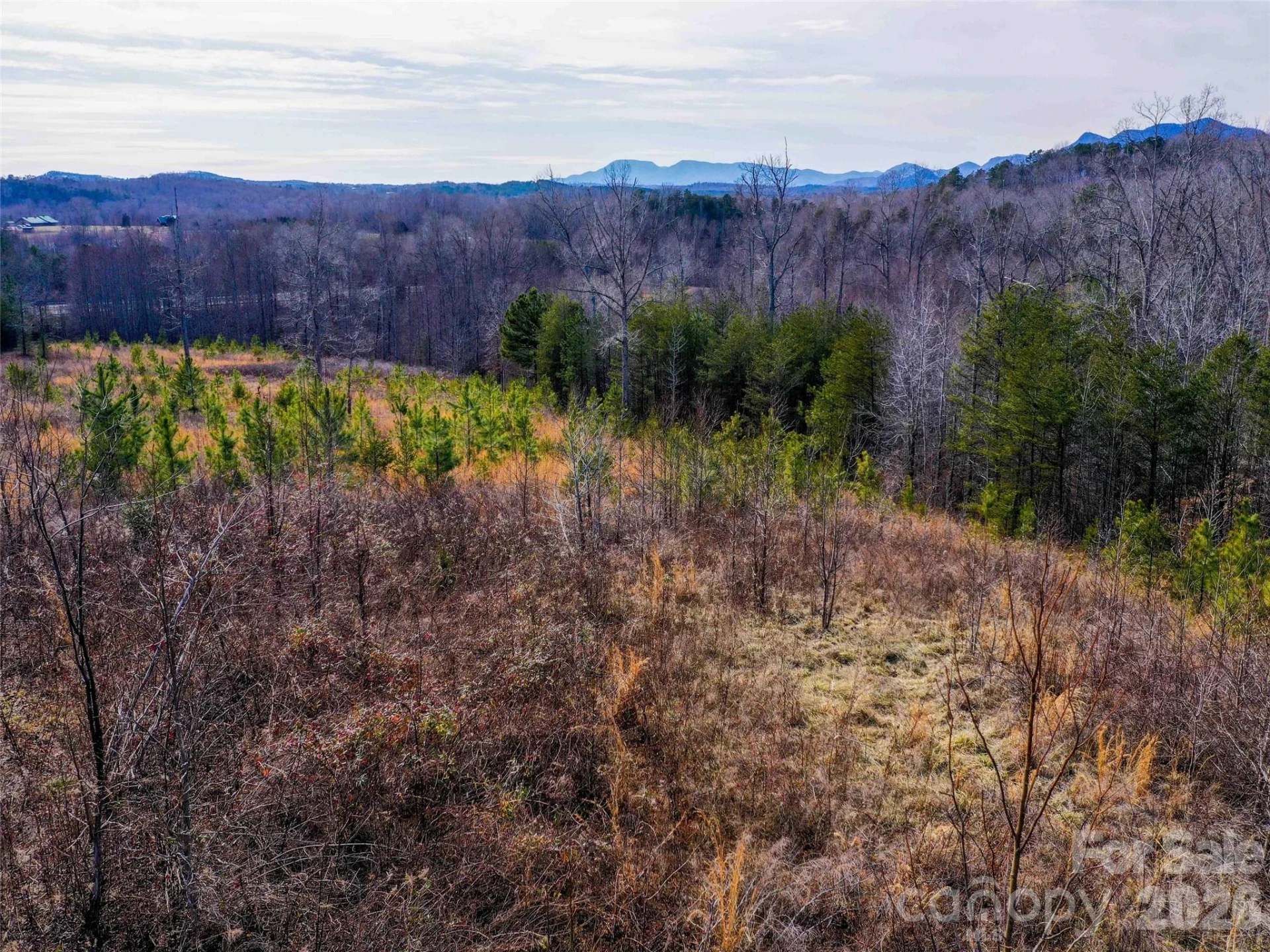 00 Pea Ridge Road - Photo 10
