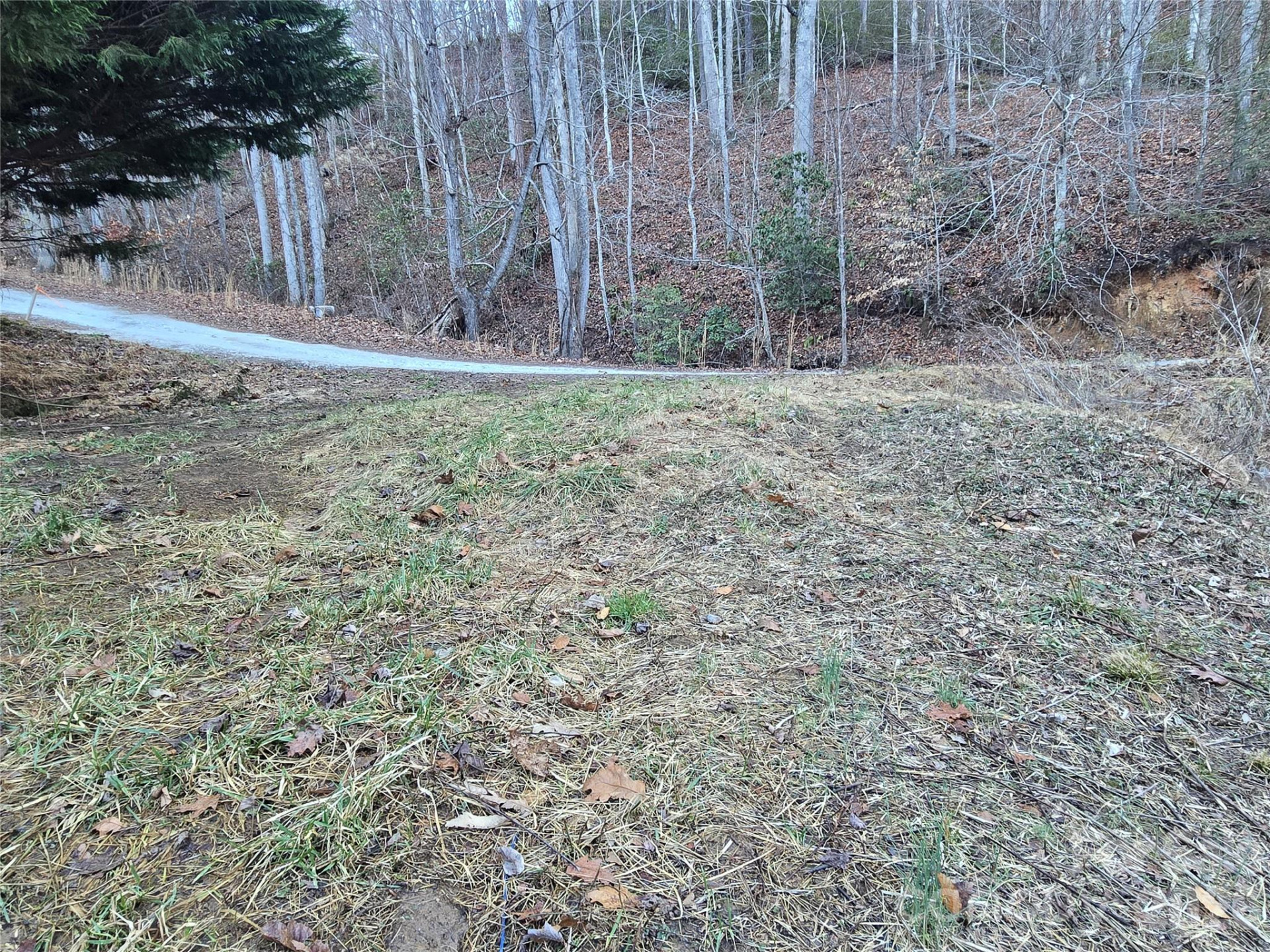 321 Mount Keys Drive - Photo 5