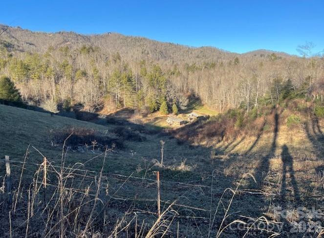 00000 Shelton Laurel Road - Photo 2