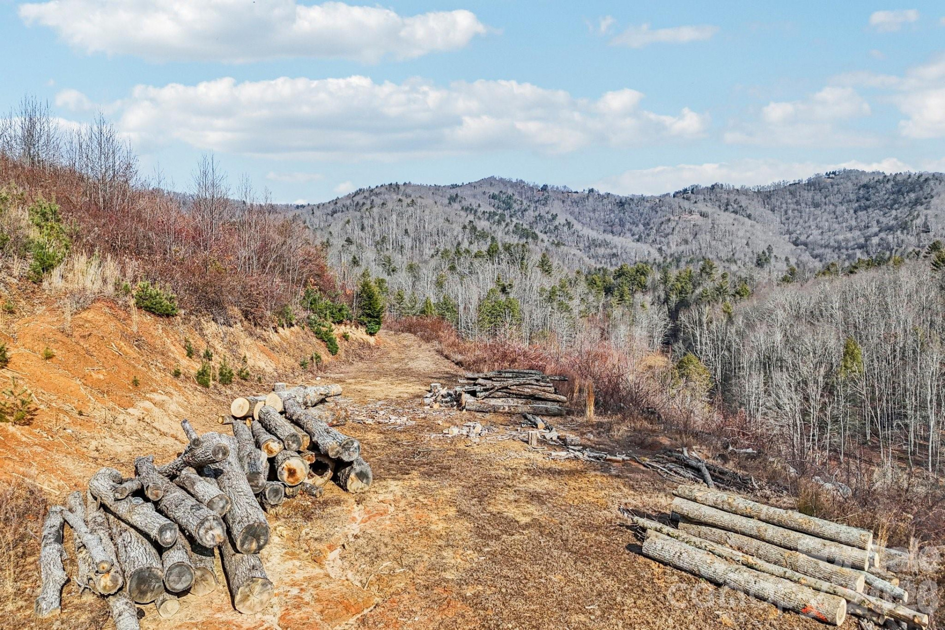 00000 Shelton Laurel Road - Photo 12