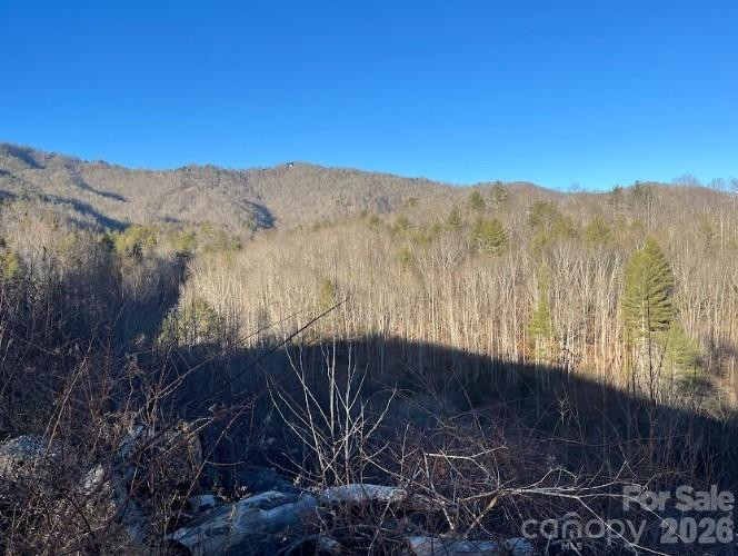 00000 Shelton Laurel Road - Photo 22