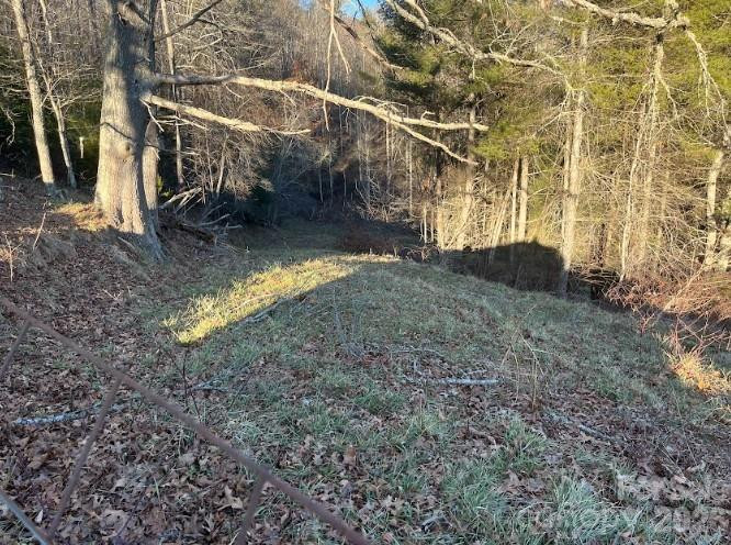 00000 Shelton Laurel Road - Photo 6