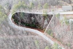 0000 Shelton Laurel Road - Photo 4