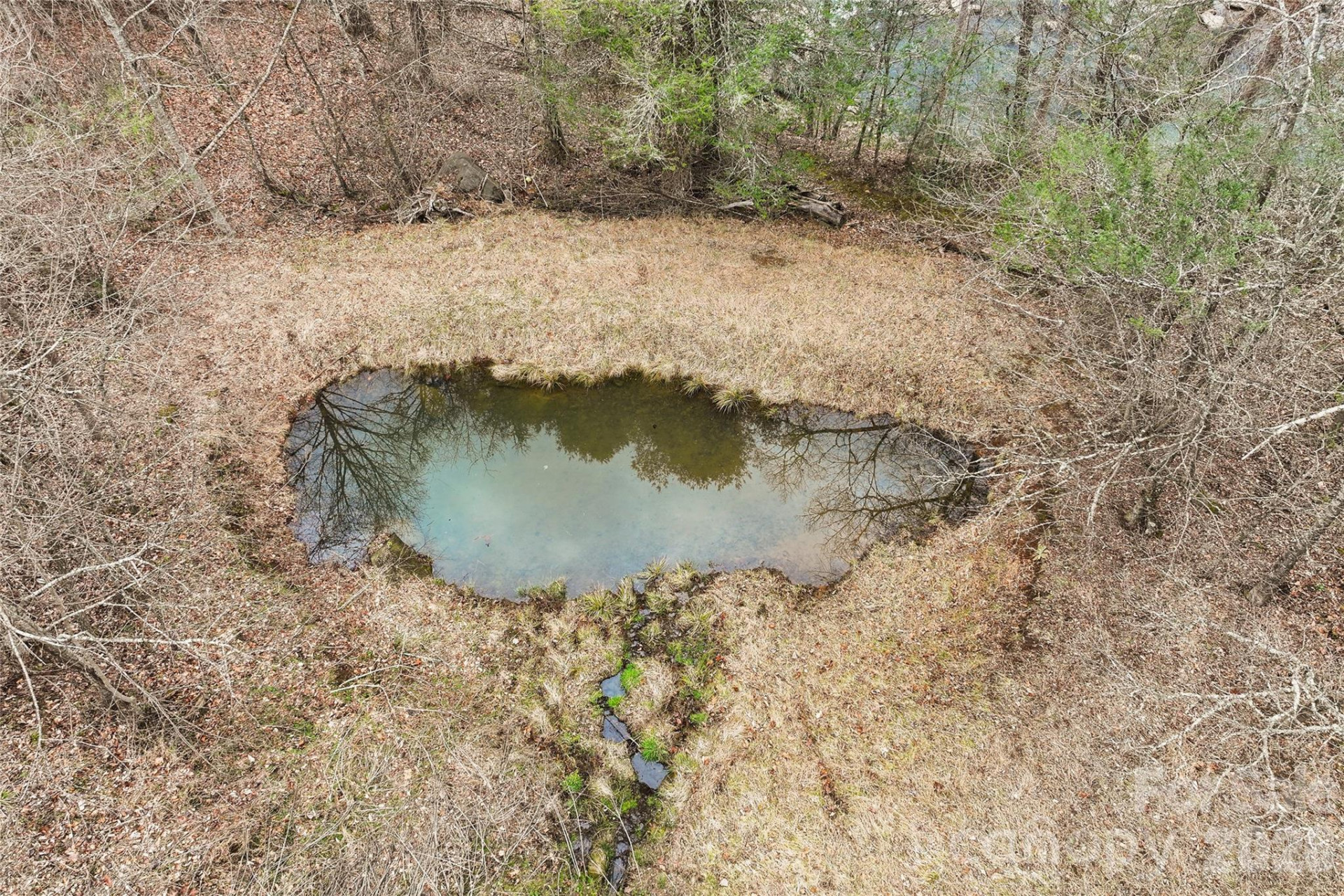 64 Hobson Branch Road - Photo 33