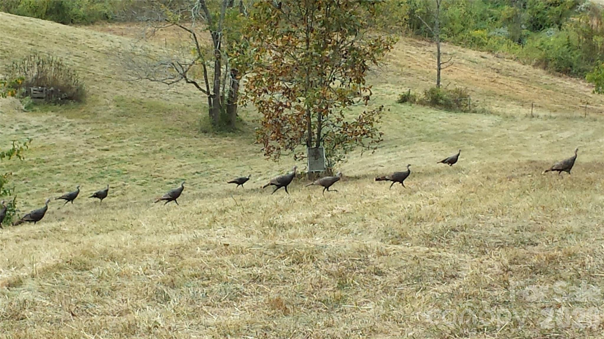 30 Morning Glory Lane - Photo 36