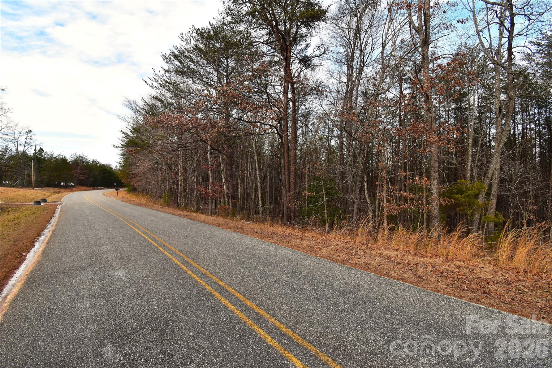 00 King Stepp Road - Photo 2
