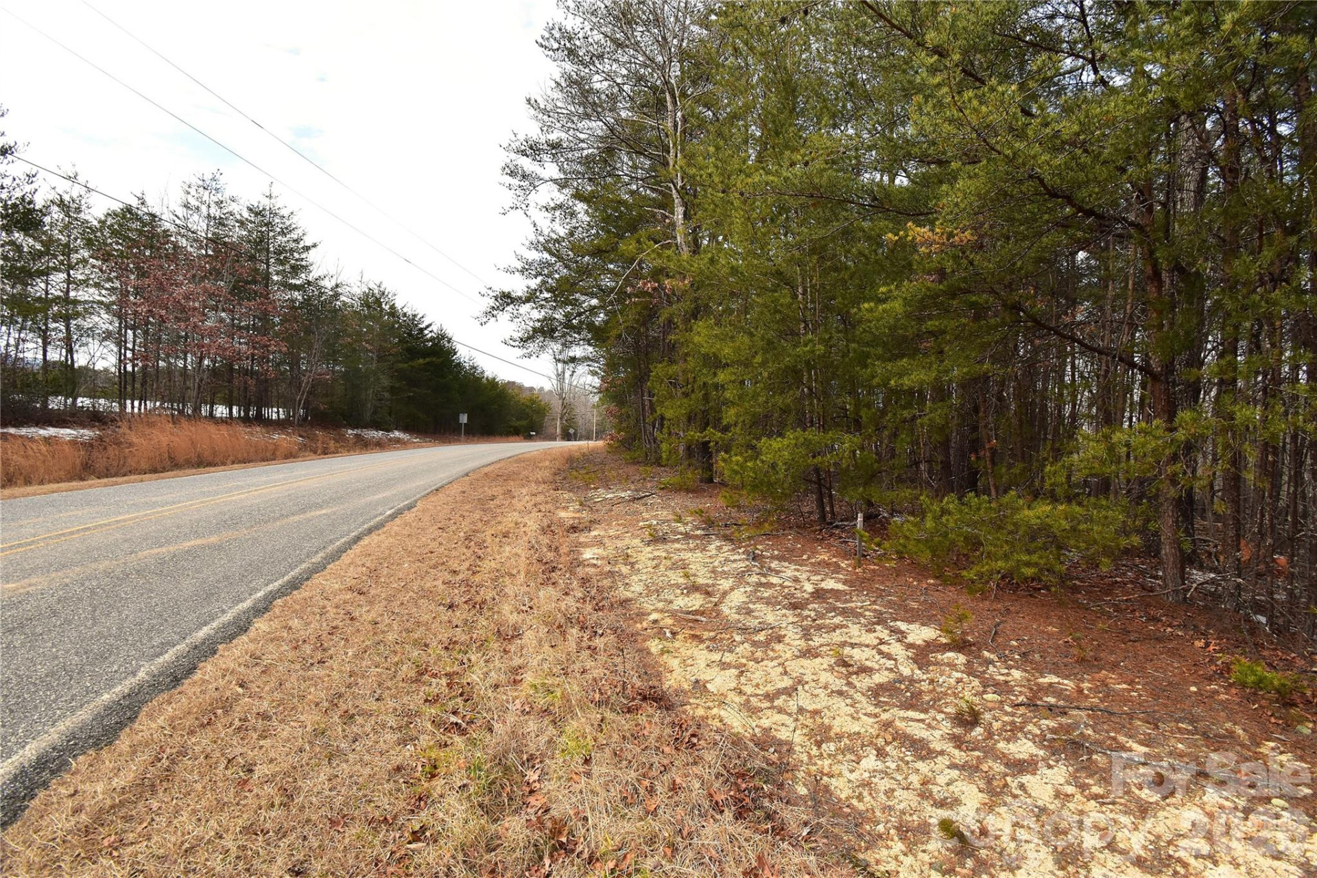 00 King Stepp Road - Photo 11