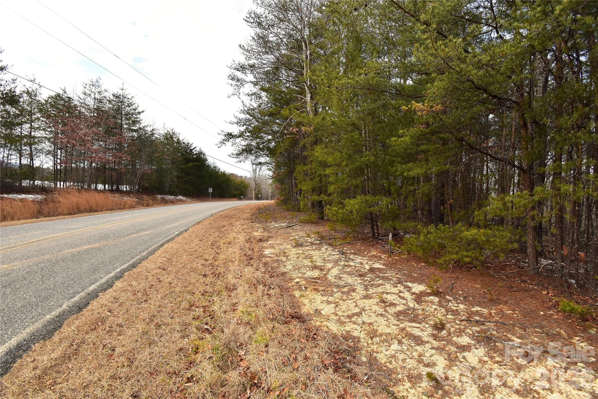 00 King Stepp Road - Photo 11