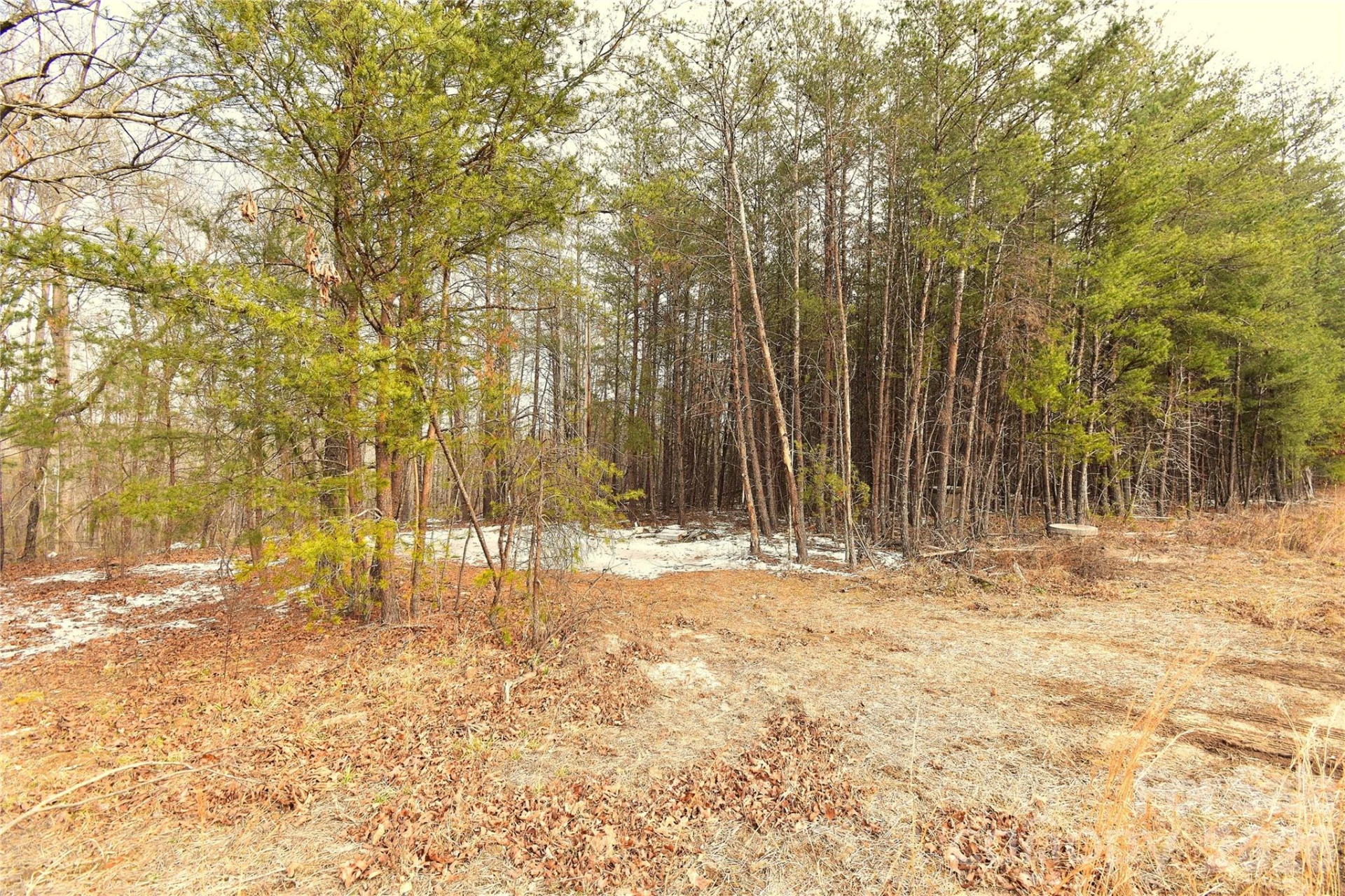00 King Stepp Road - Photo 3