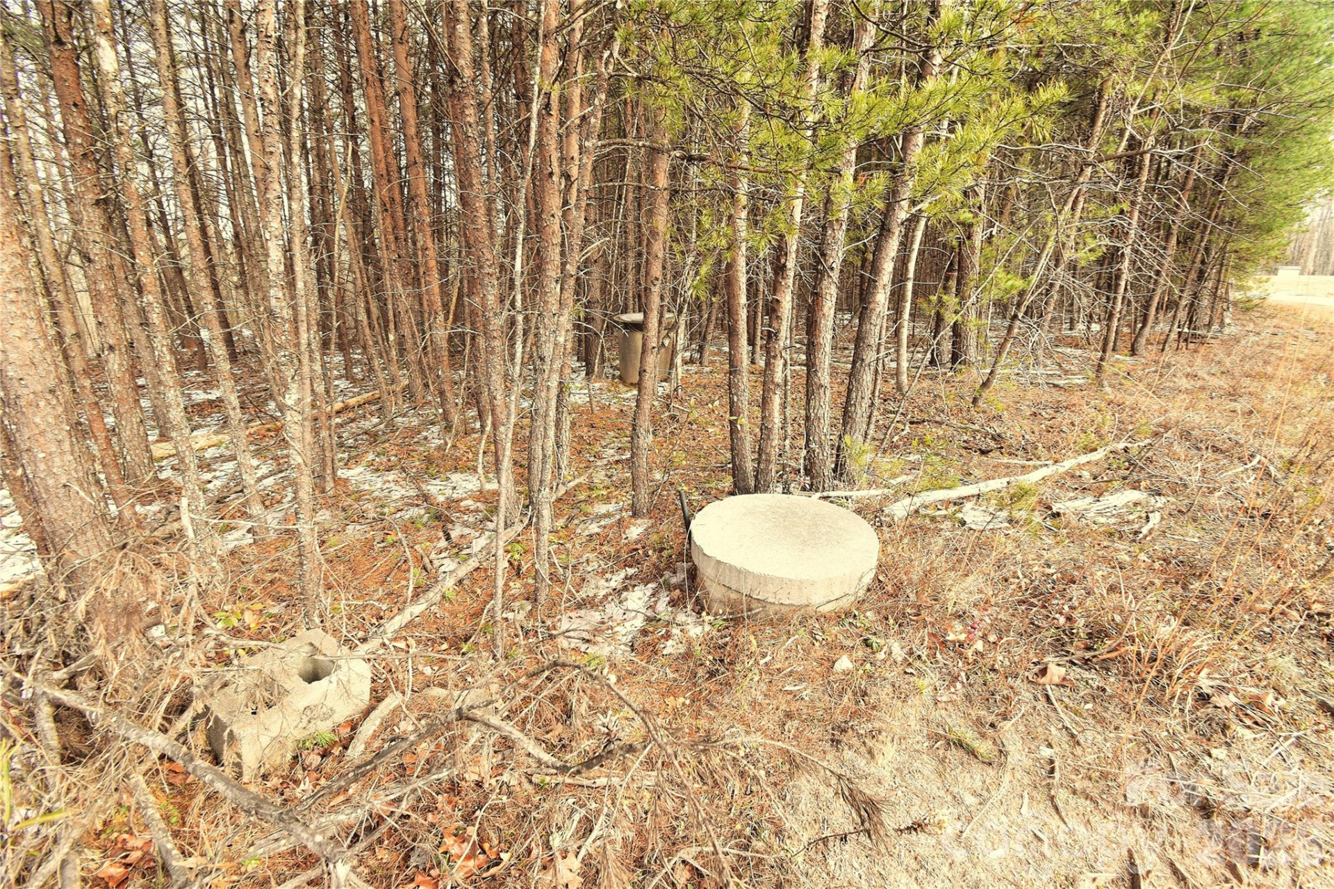 00 King Stepp Road - Photo 4