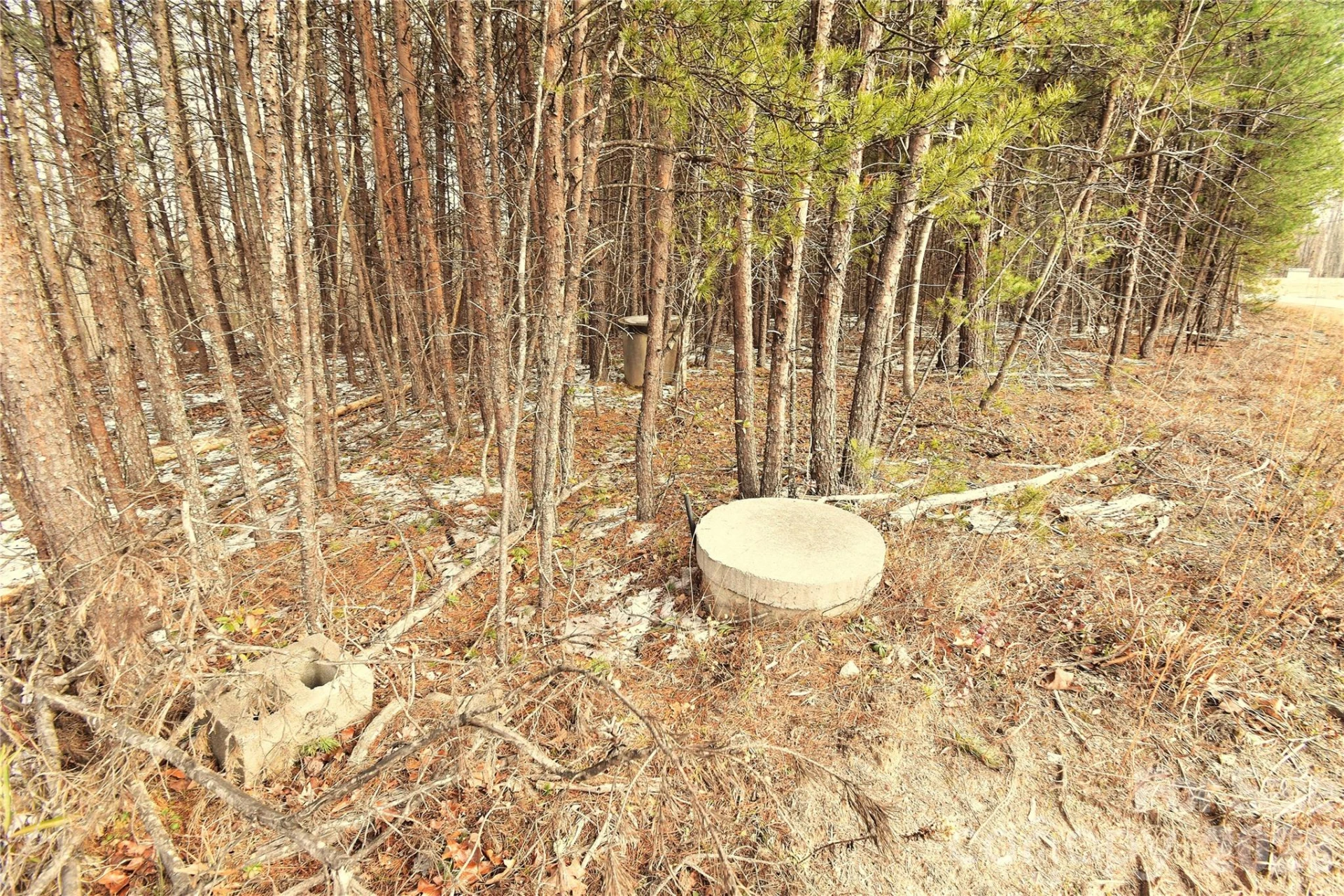 00 King Stepp Road - Photo 4