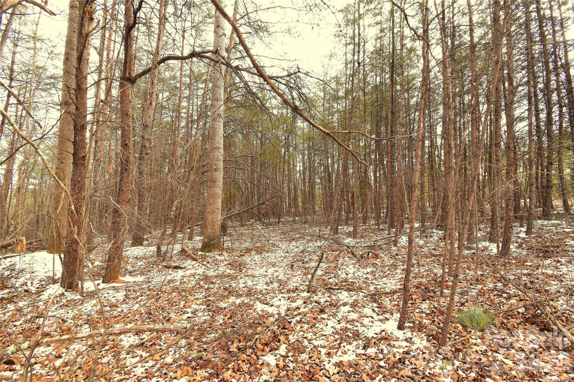 00 King Stepp Road - Photo 5