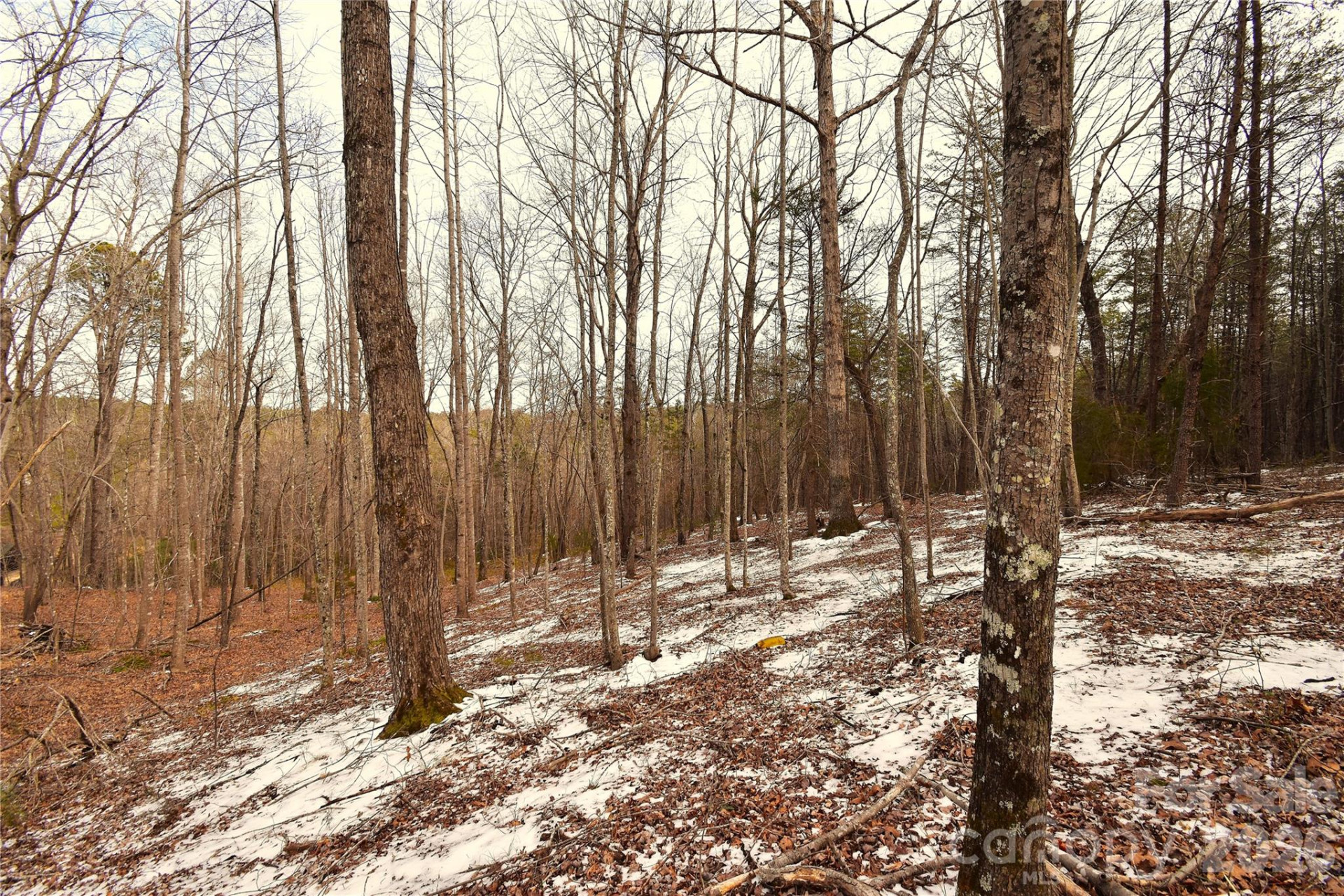 00 King Stepp Road - Photo 6