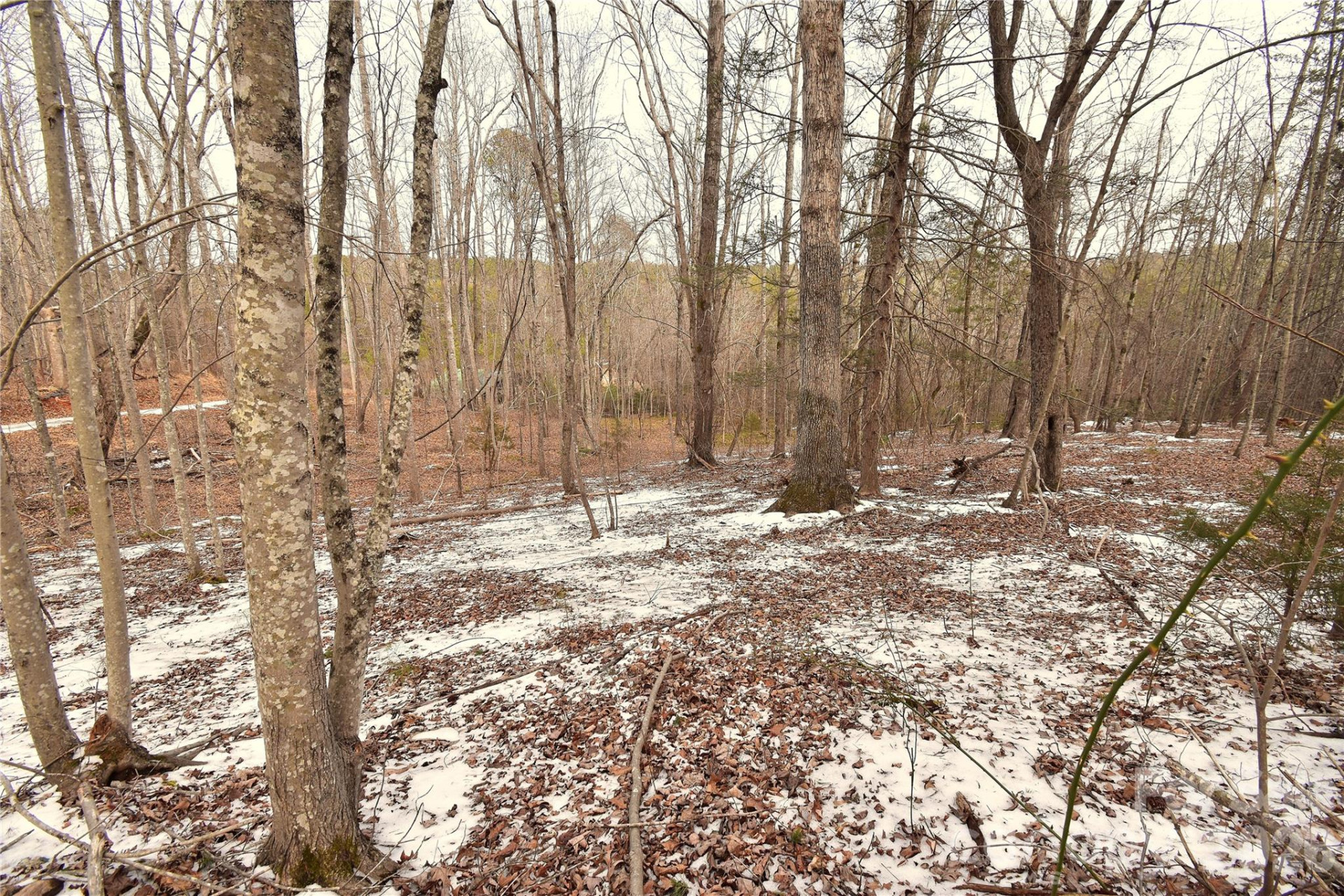 00 King Stepp Road - Photo 7