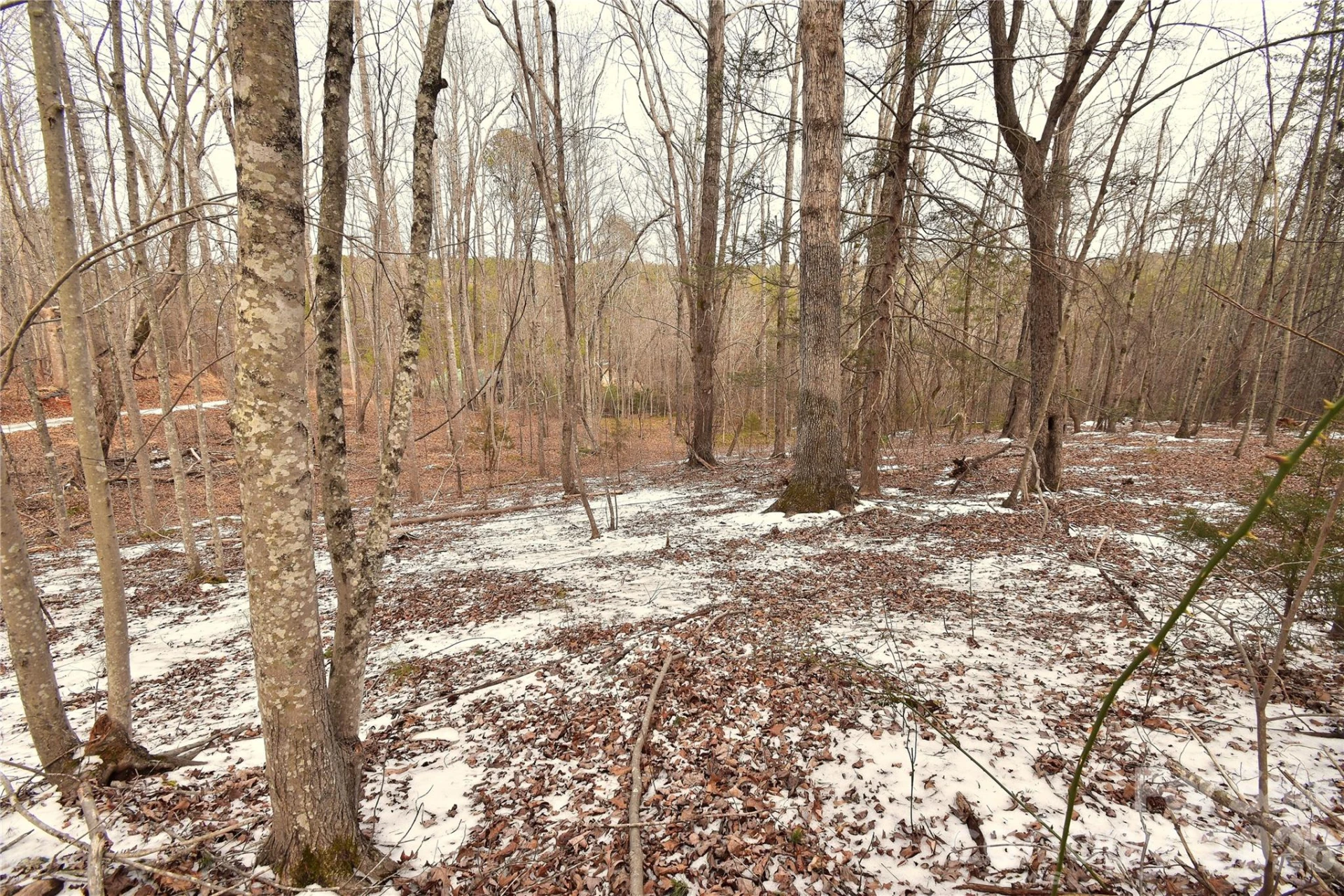 00 King Stepp Road - Photo 7