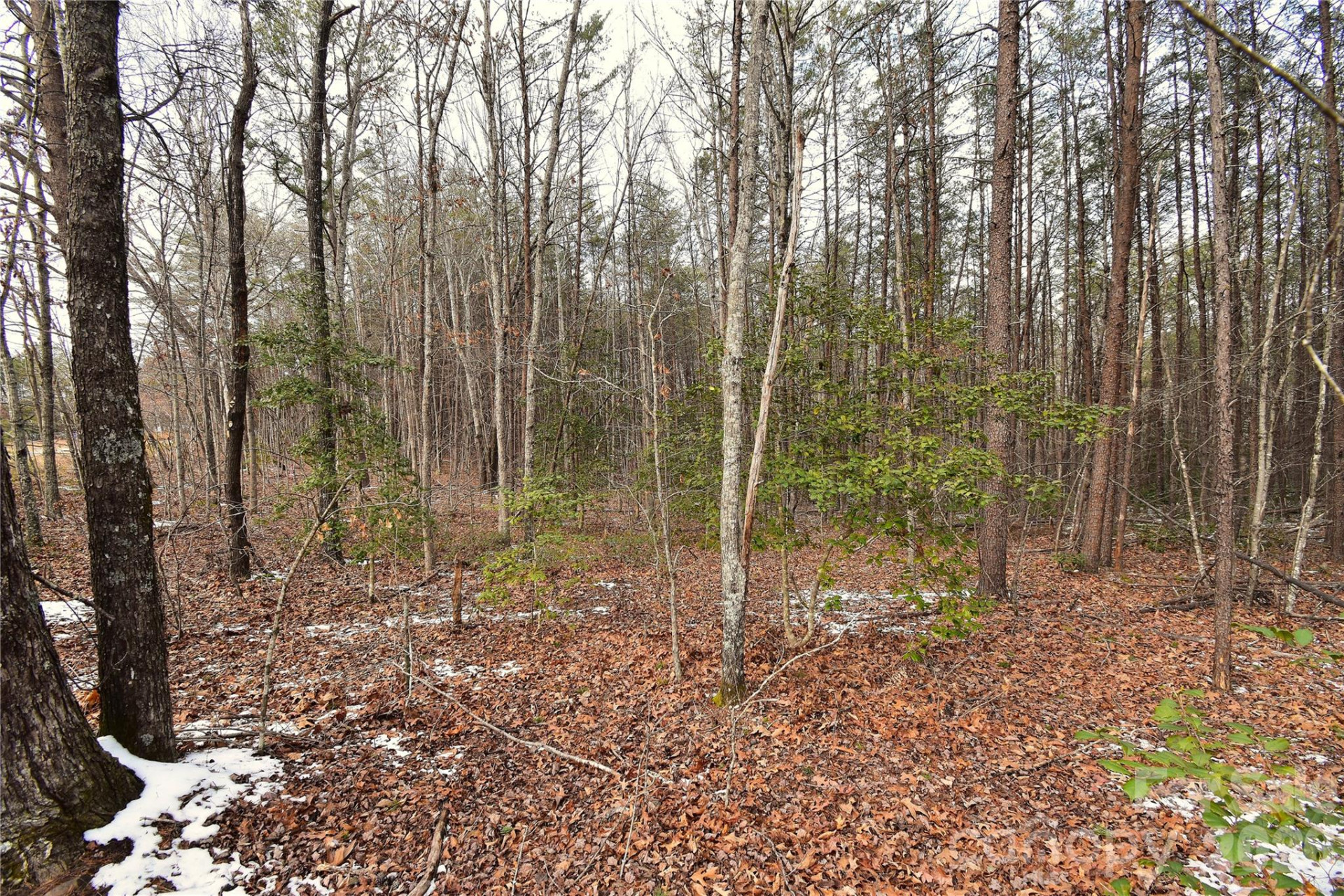 00 King Stepp Road - Photo 8