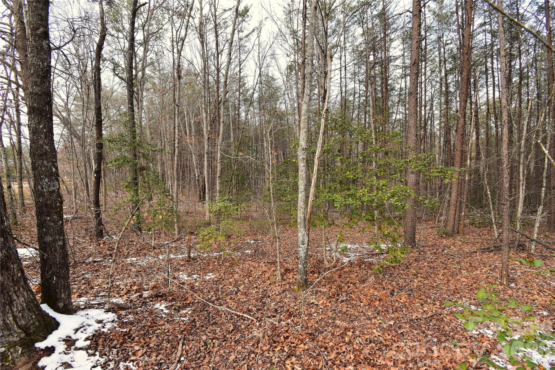 00 King Stepp Road - Photo 8