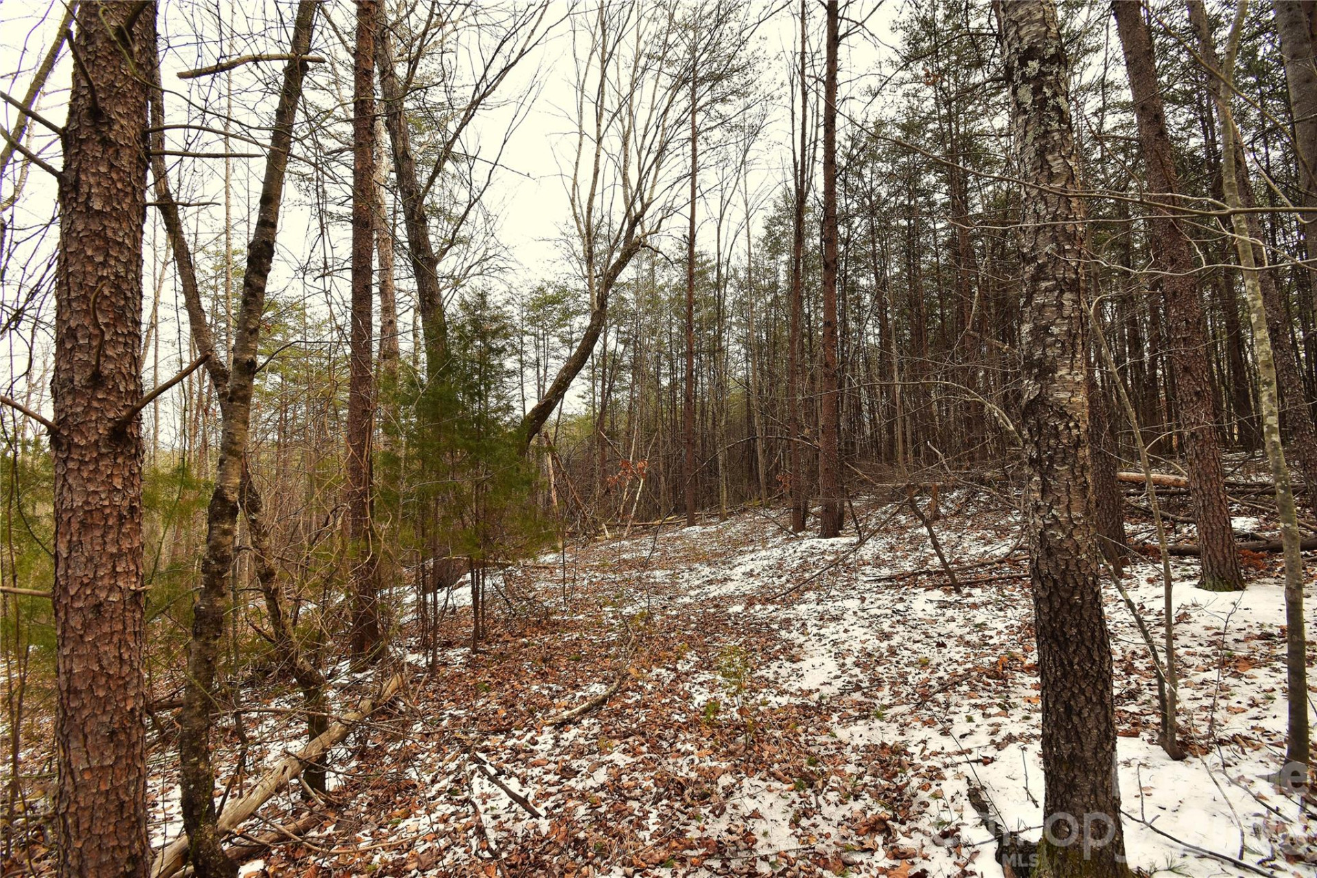 00 King Stepp Road - Photo 9