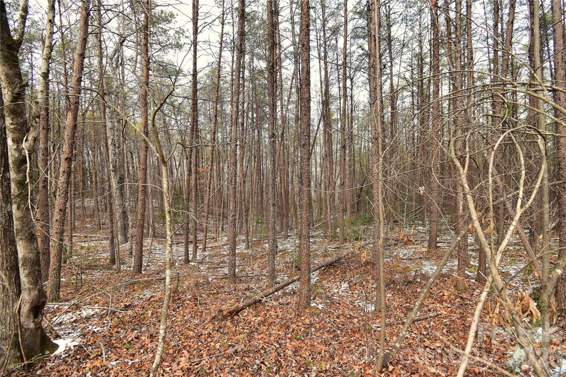 00 King Stepp Road - Photo 10