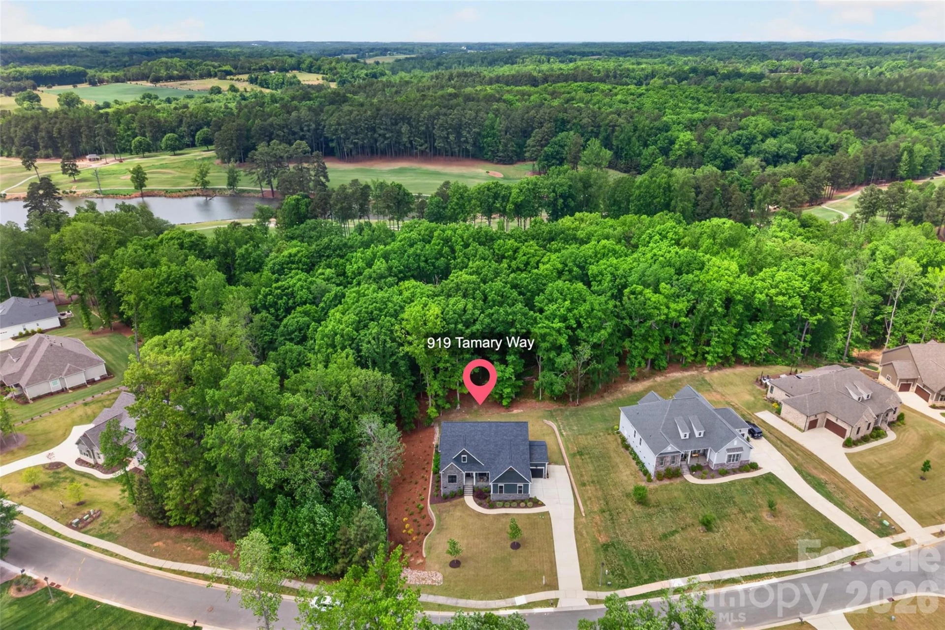 919 Tamary Way - Photo 2