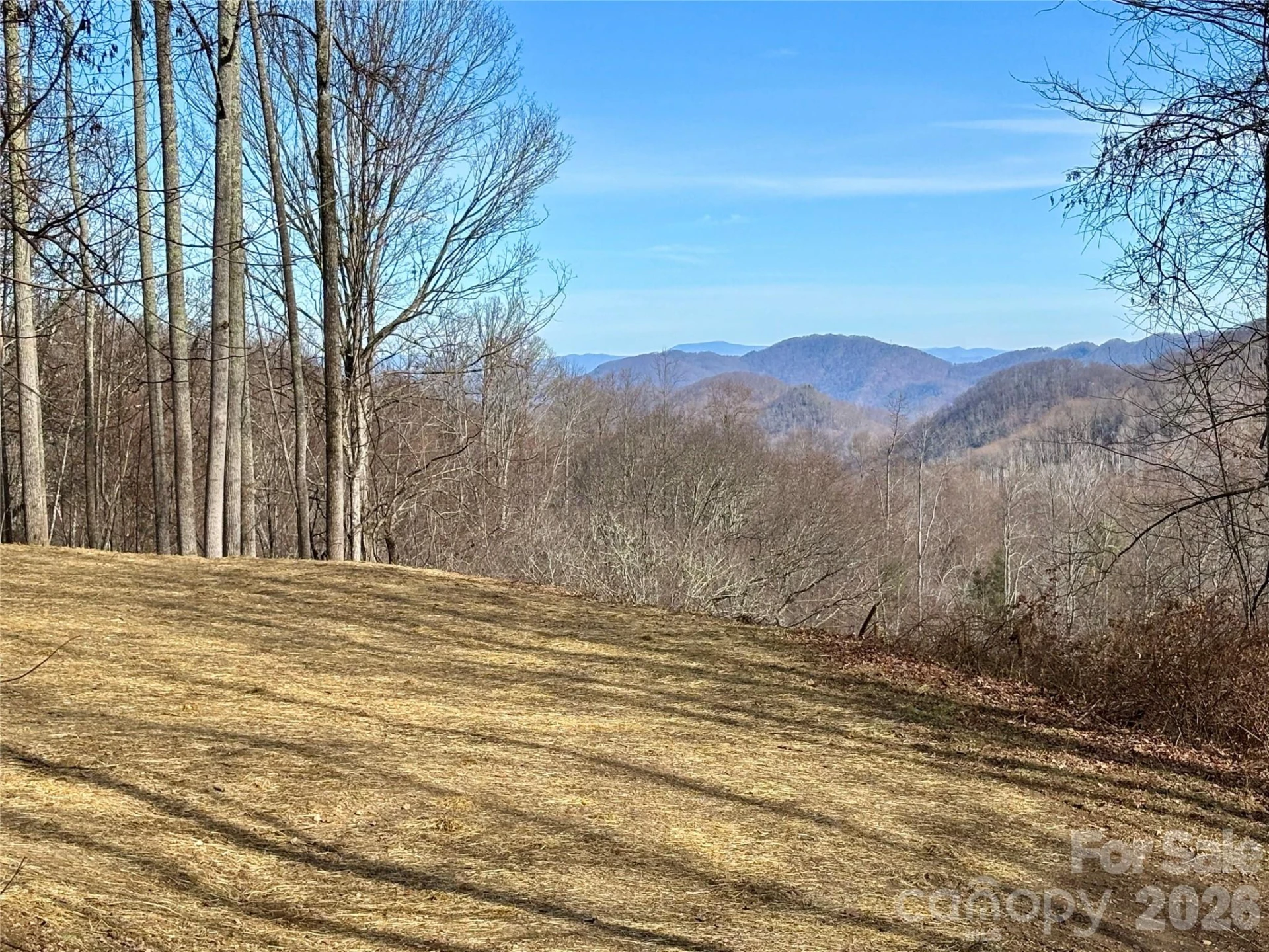 (NE Lot) Meadow Fork Road